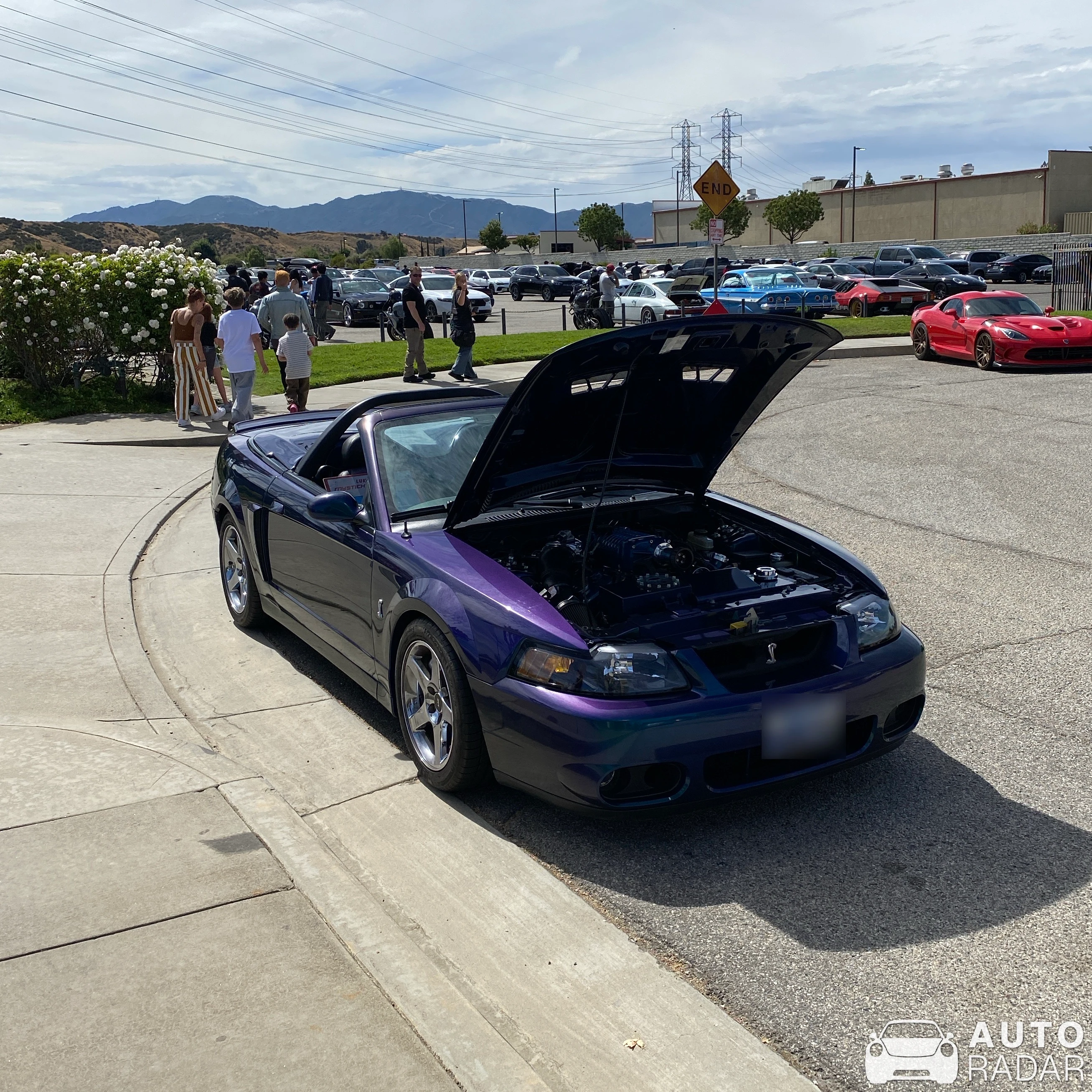 Ford Mustang SVT Cobra Mystichrome Package spotted in Santa Clarita