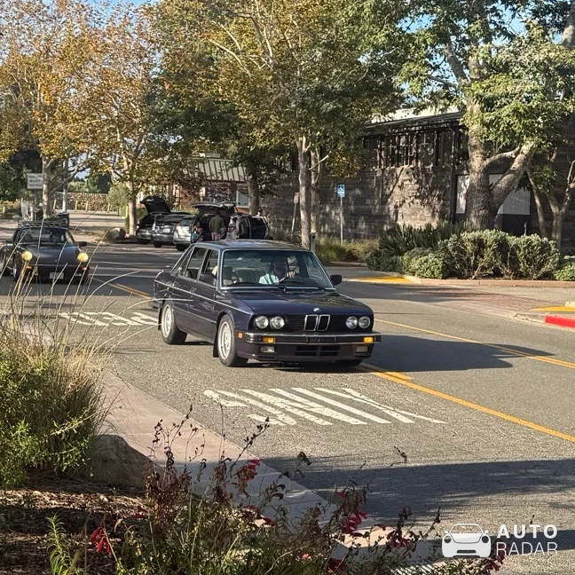 BMW 5 Series spotted in Malibu