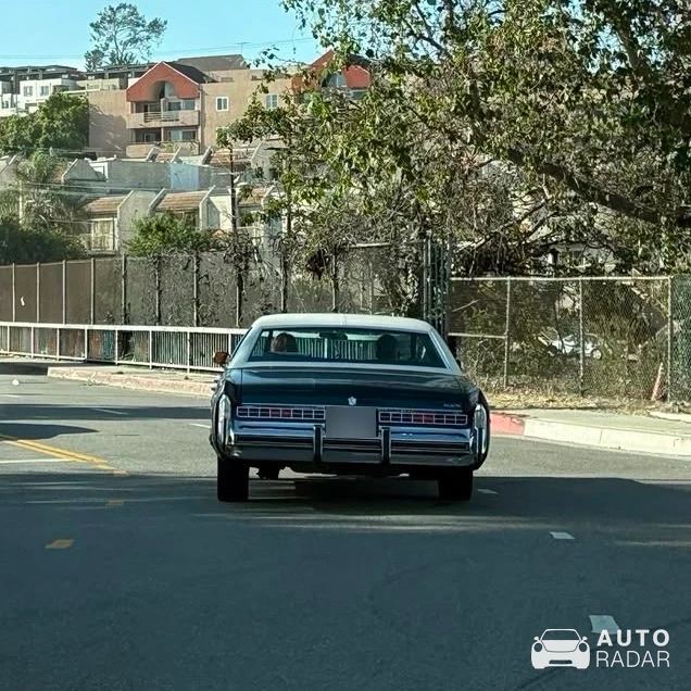 Buick Electra spotted in Grindel
