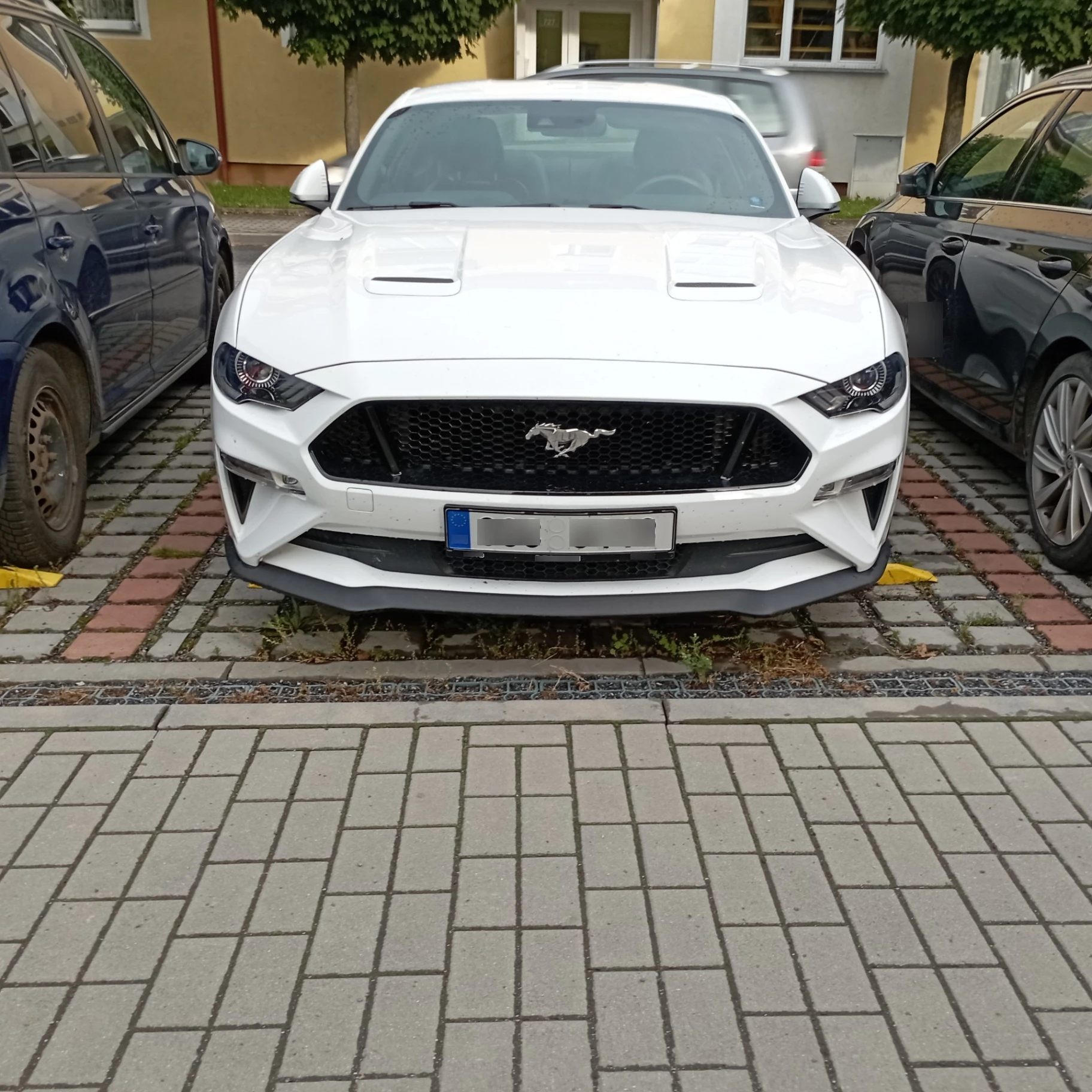 Ford Mustang GT spotted in Nové Město na Moravě, Czechia