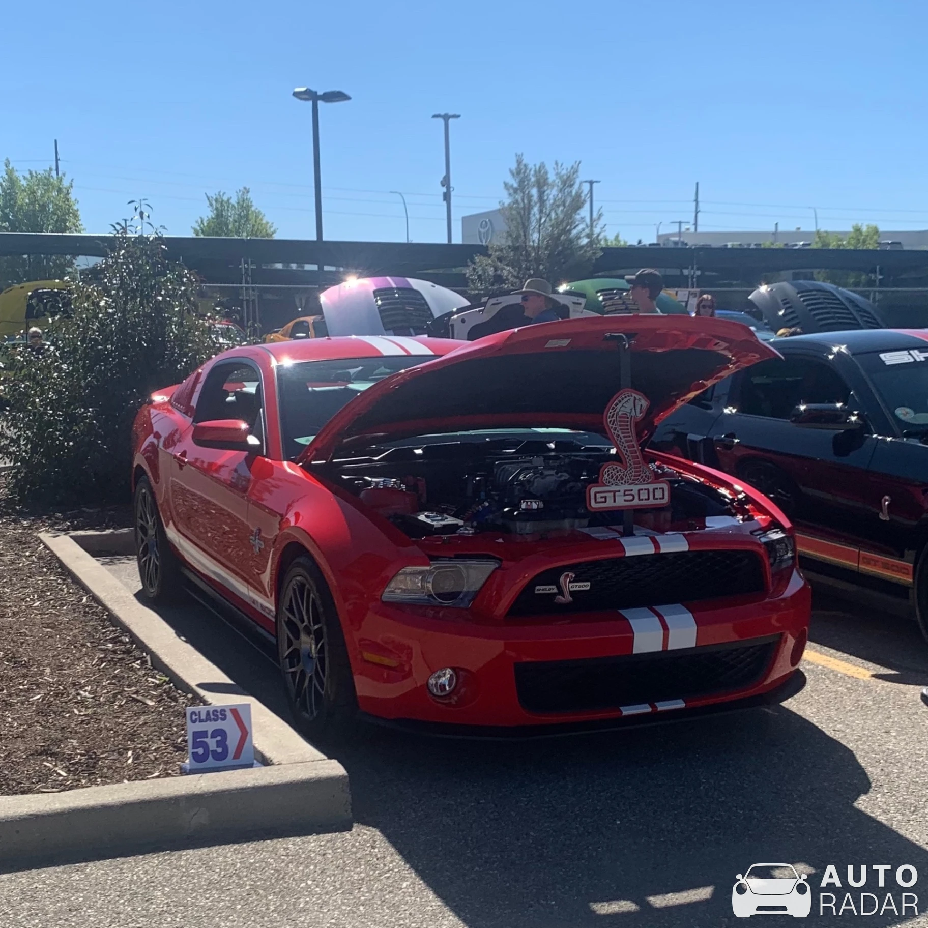 Ford Mustang Shelby GT500 spotted in Calgary, Canada