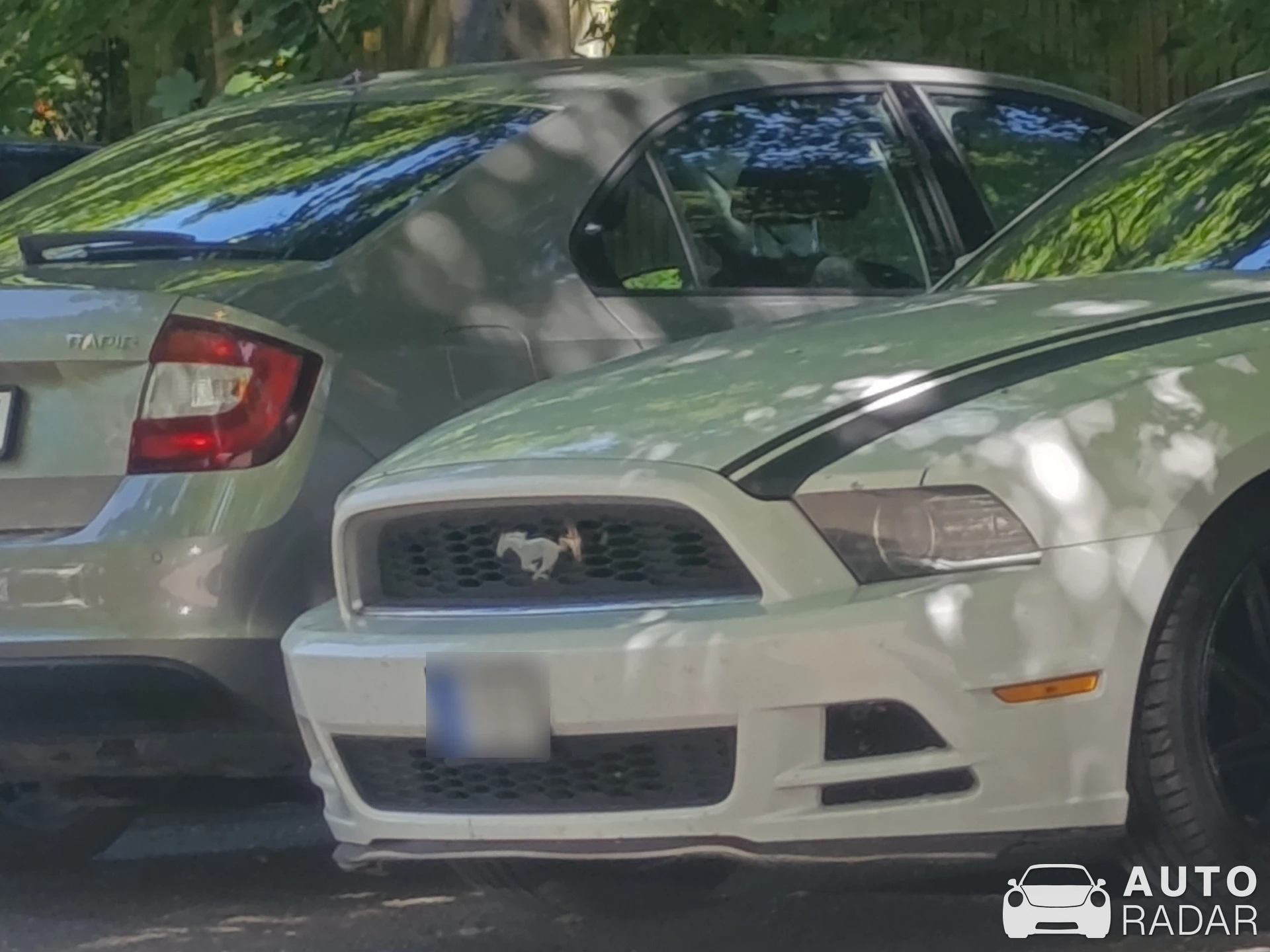 Ford Mustang S197 spotted in Felsőlajos