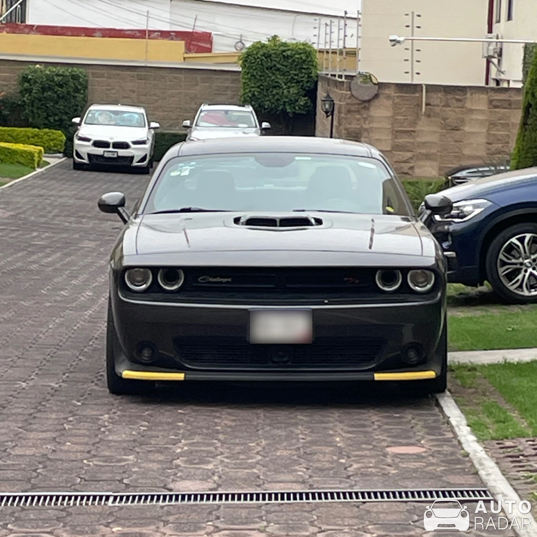 Dodge Challenger spotted in Ciudad de México, Mexico