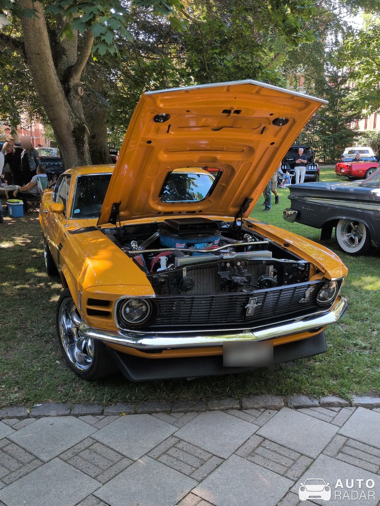 Ford Mustang Boss 302 2010 spotted in Trelleborg