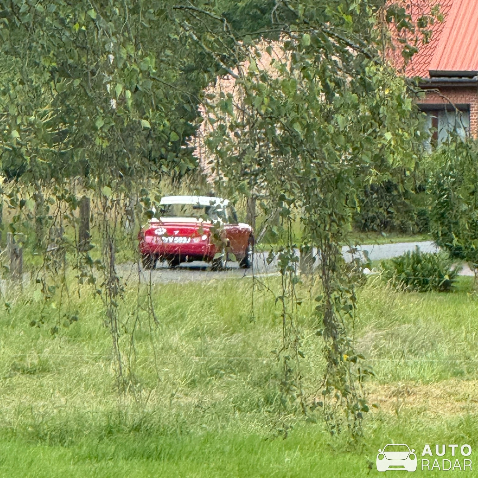 Austin-Healey Sprite Mark I spotted in Emtinghausen