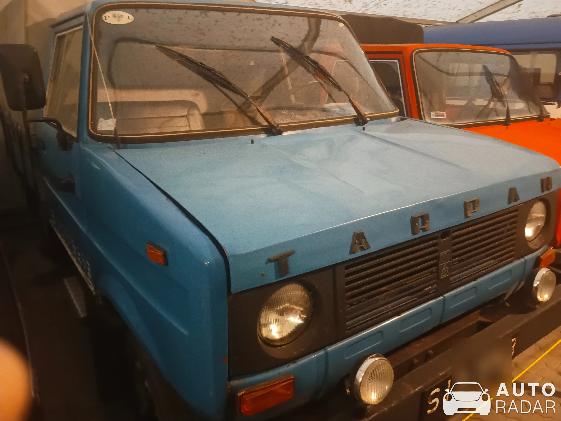 FSR Tarpan spotted in Skierniewice