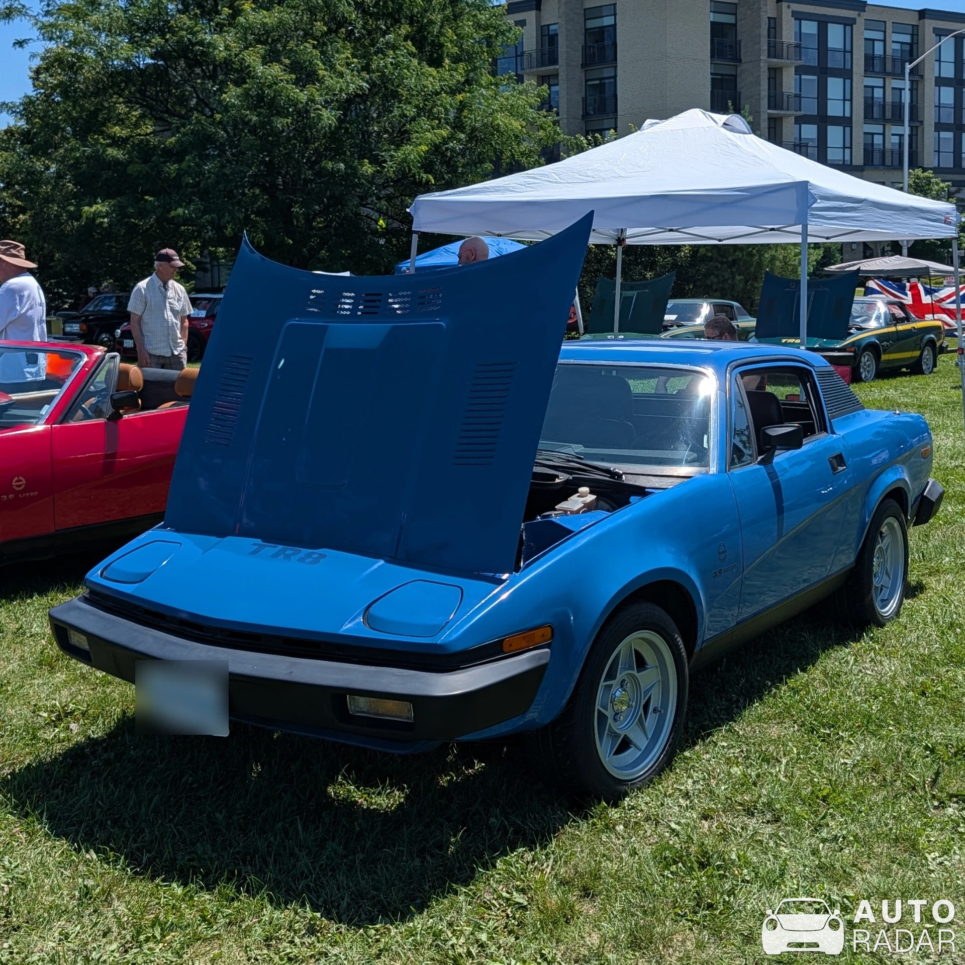 Triumph TR8 spotted in Nepean