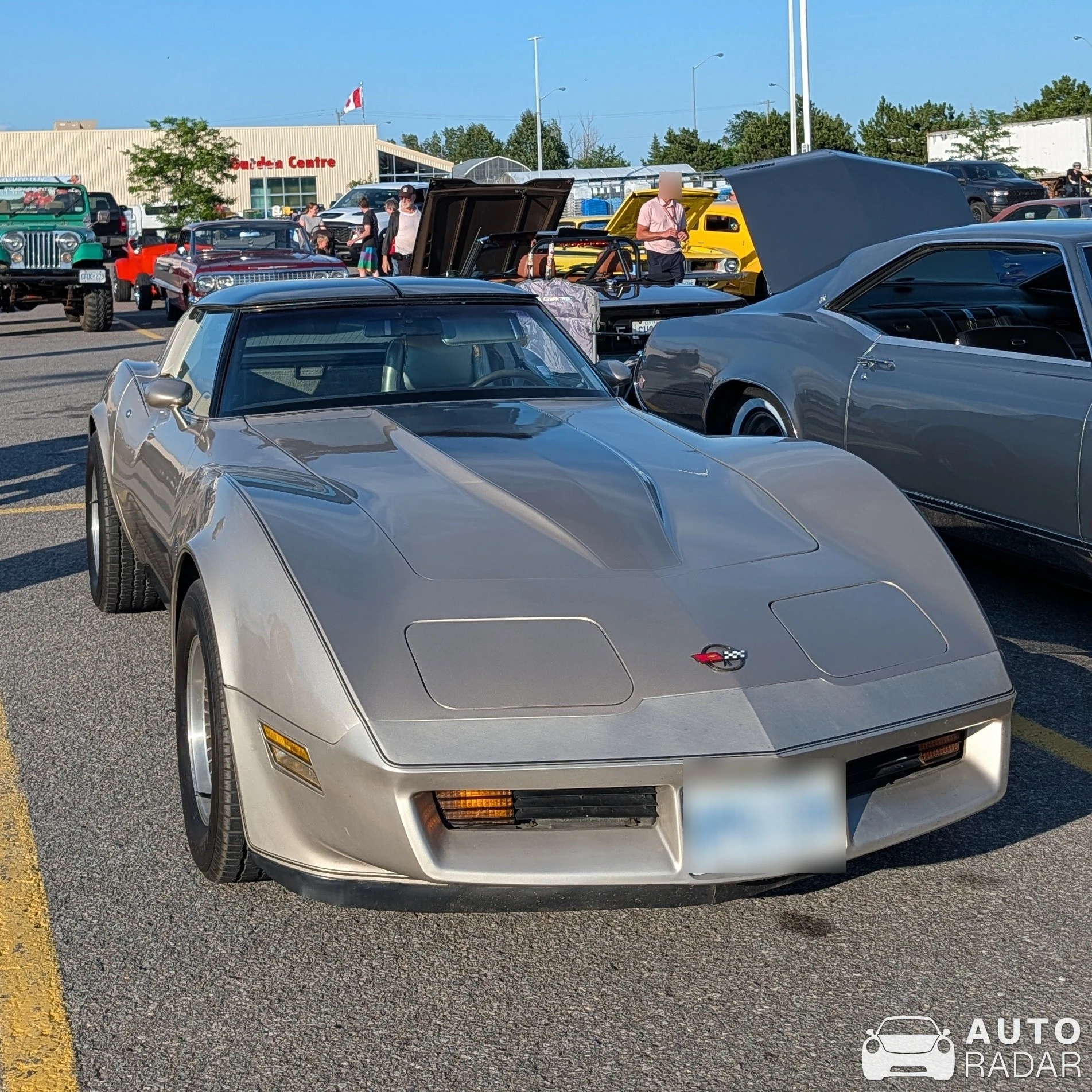 Chevrolet Corvette C3 Crossfire spotted in Carleton Place