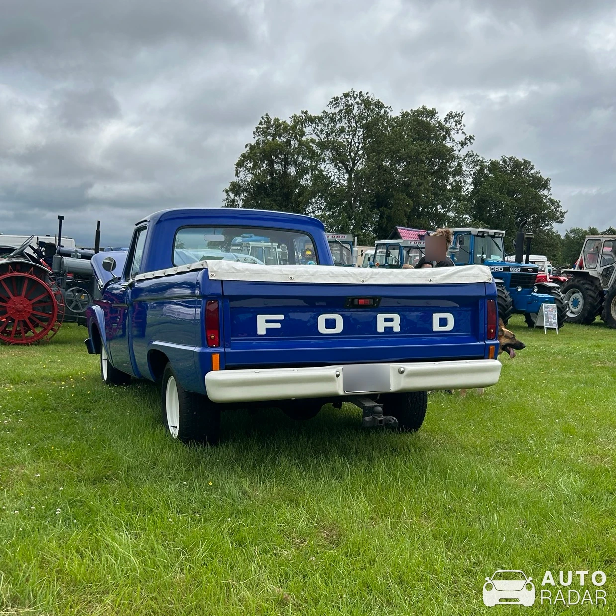 Ford F-100 spotted in Penrith