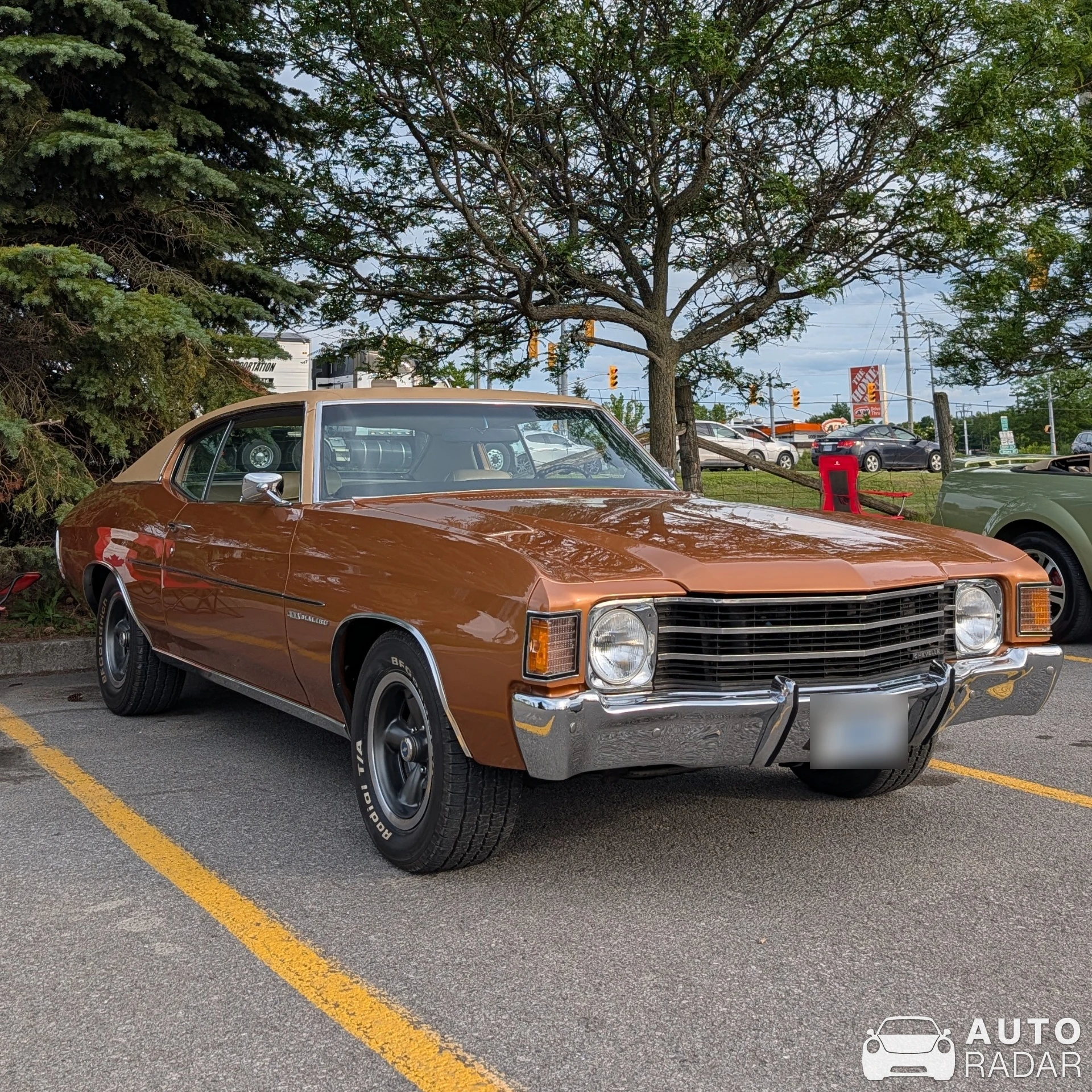 Chevrolet Chevelle Malibu spotted in Carleton Place