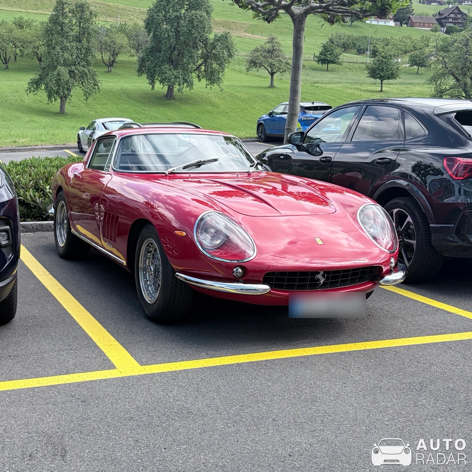 Ferrari 275 GTB/4 spotted in Feusisberg