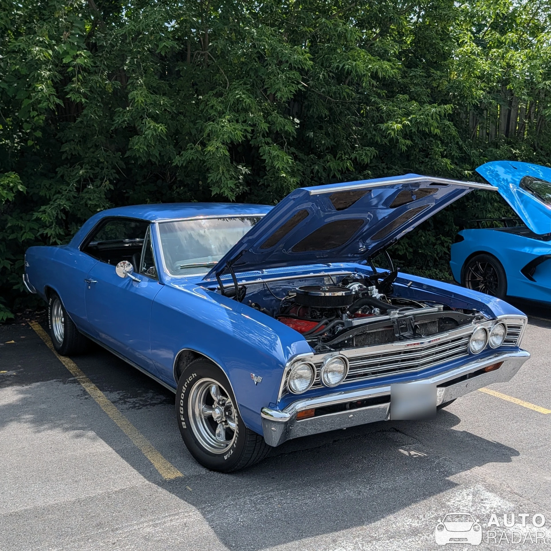 Chevrolet Chevelle spotted in Stittsville