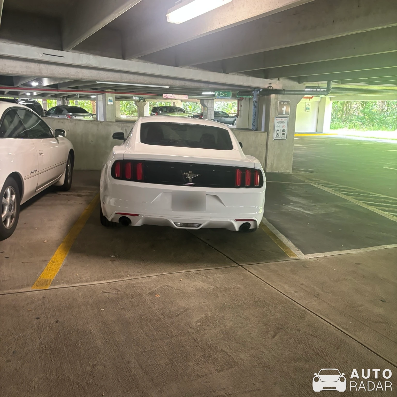 Ford Mustang S550 spotted in Gainesville