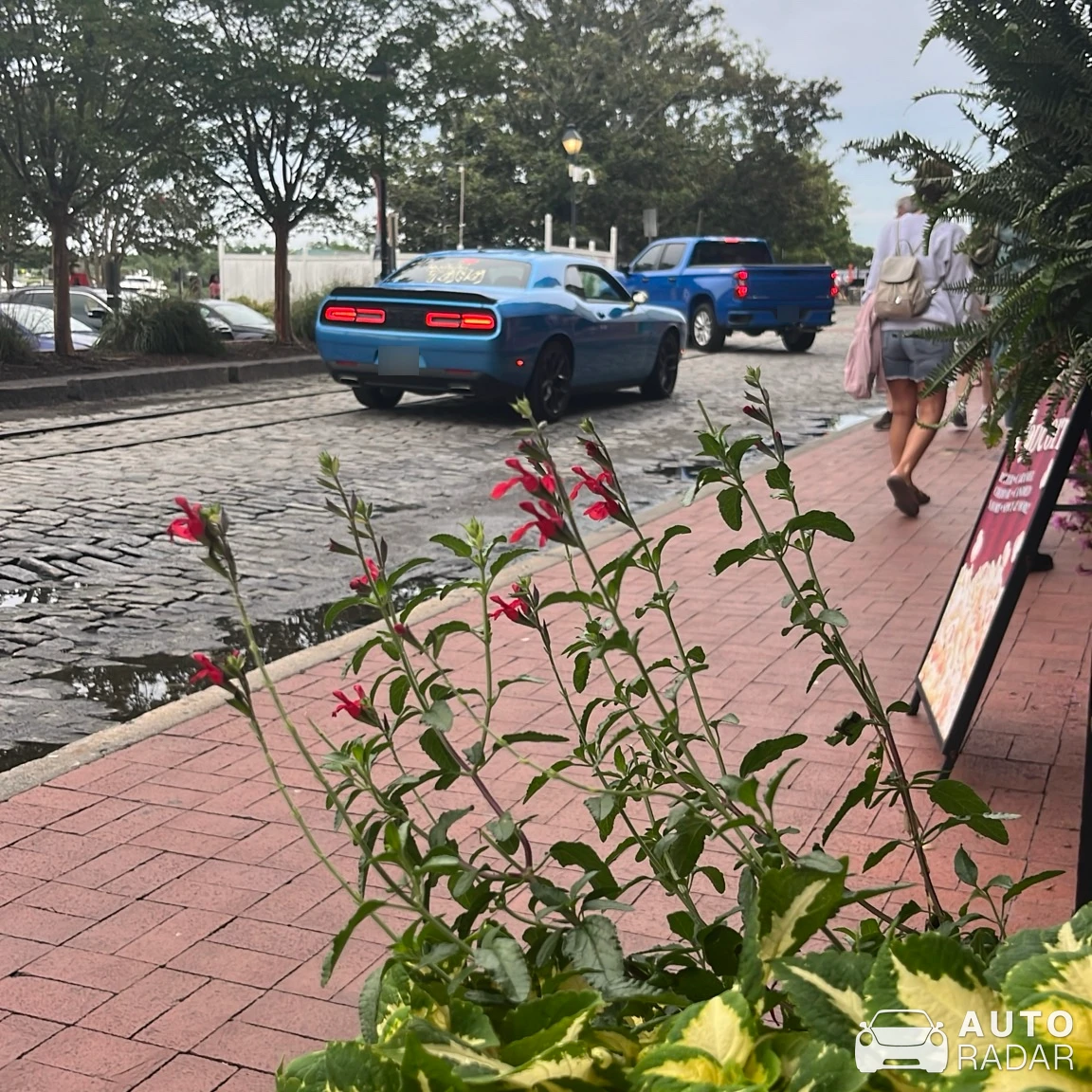Dodge Challenger spotted in Savannah