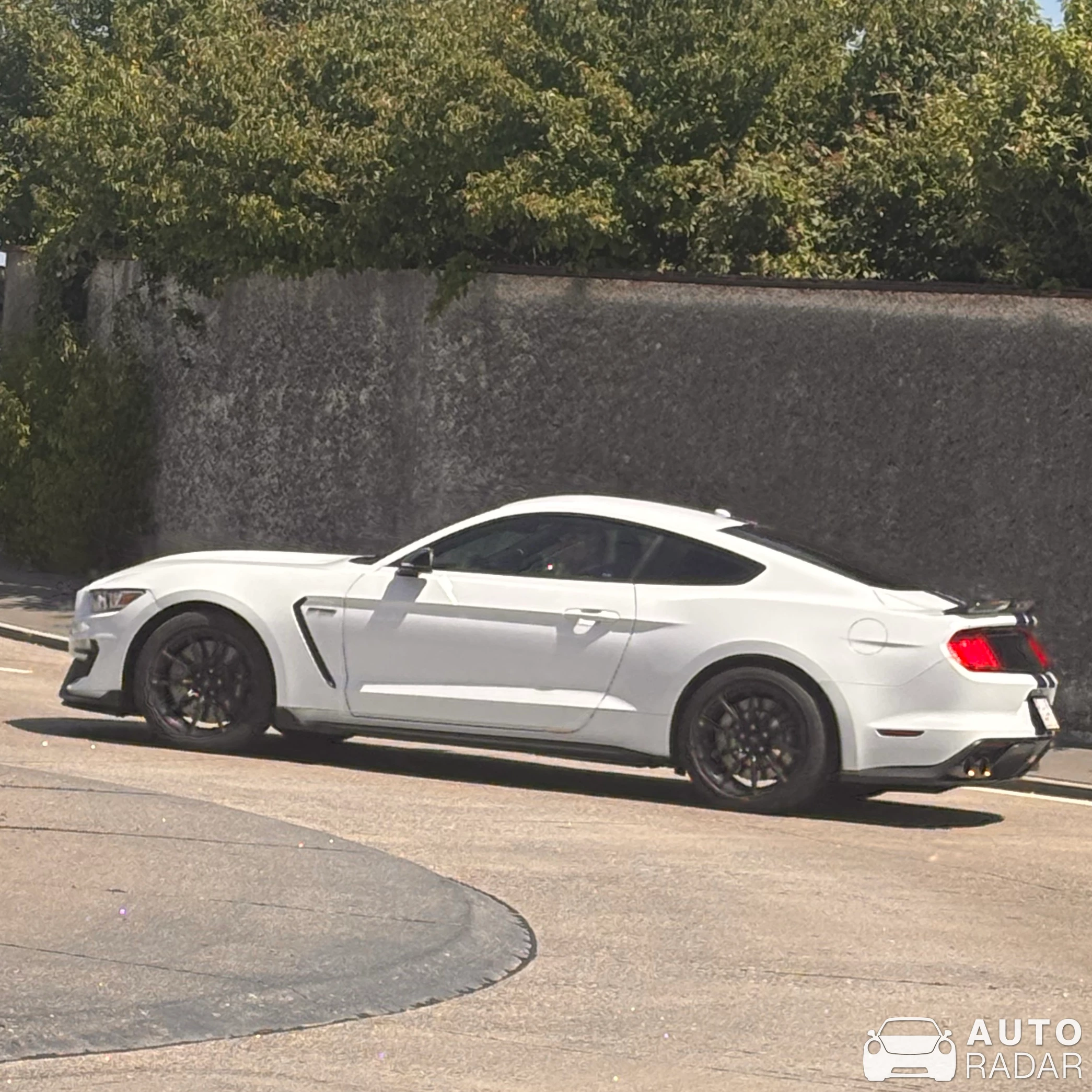 Ford Mustang Shelby GT350 spotted in Pfäffikon SZ