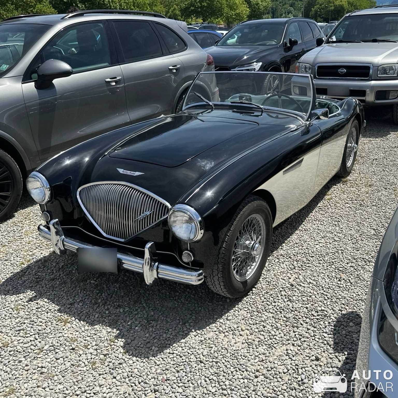 Austin-Healey 100 spotted in Luzern