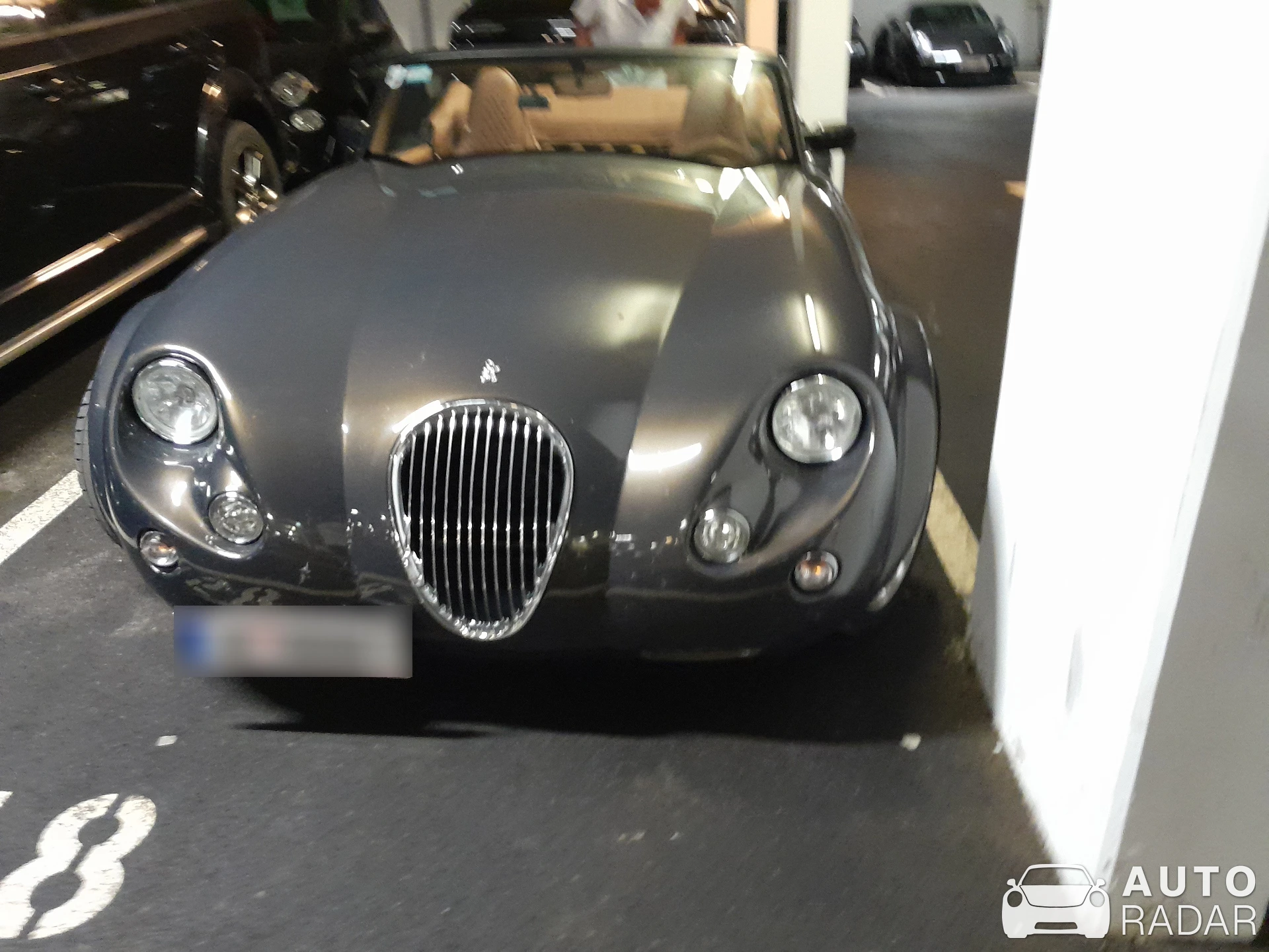 Mitsuoka Himiko spotted in Velden am Wörther See