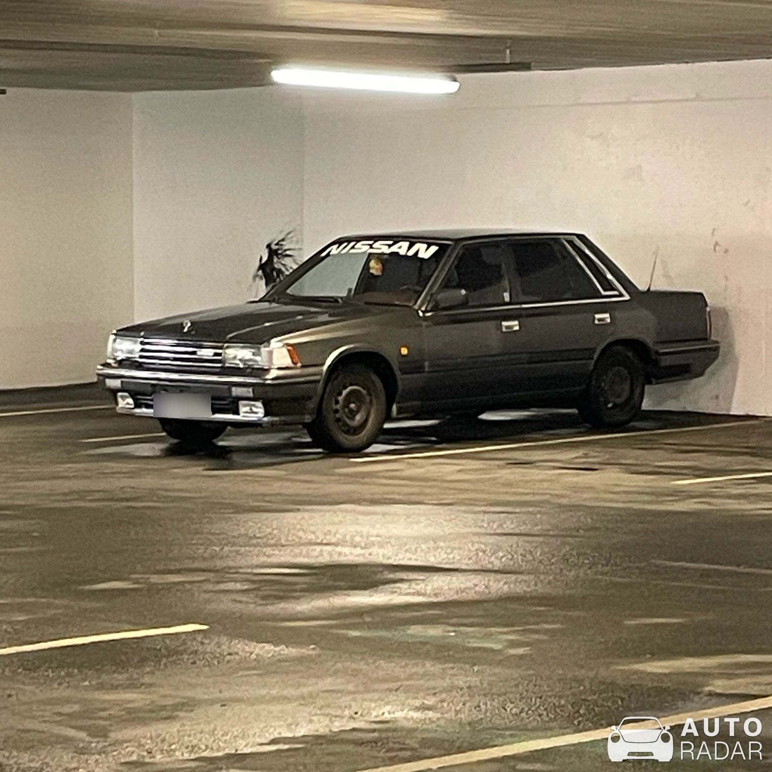 Nissan Laurel spotted in Haugesund