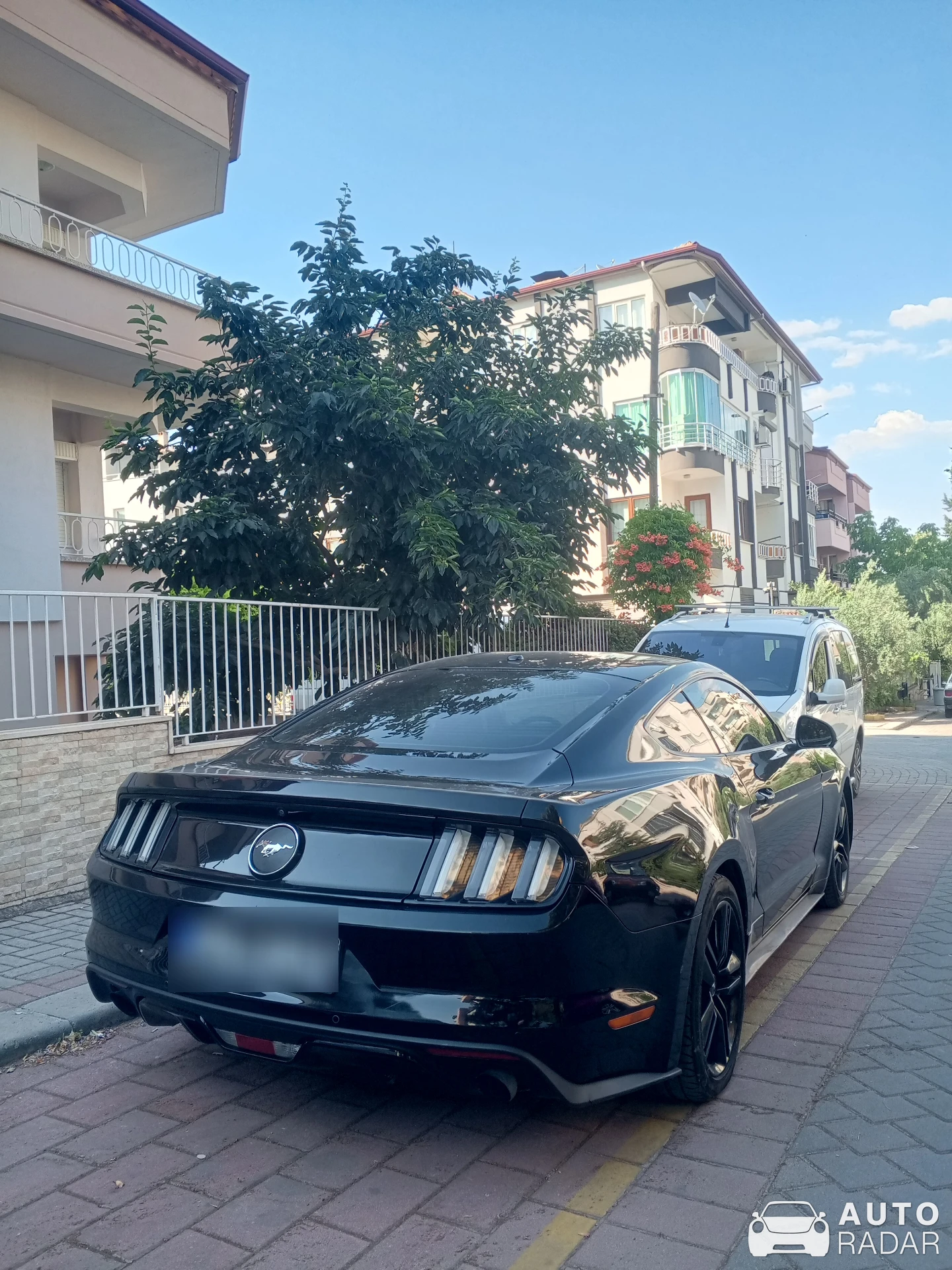 Ford Mustang 2.3 Ecoboost spotted in Pamukkale