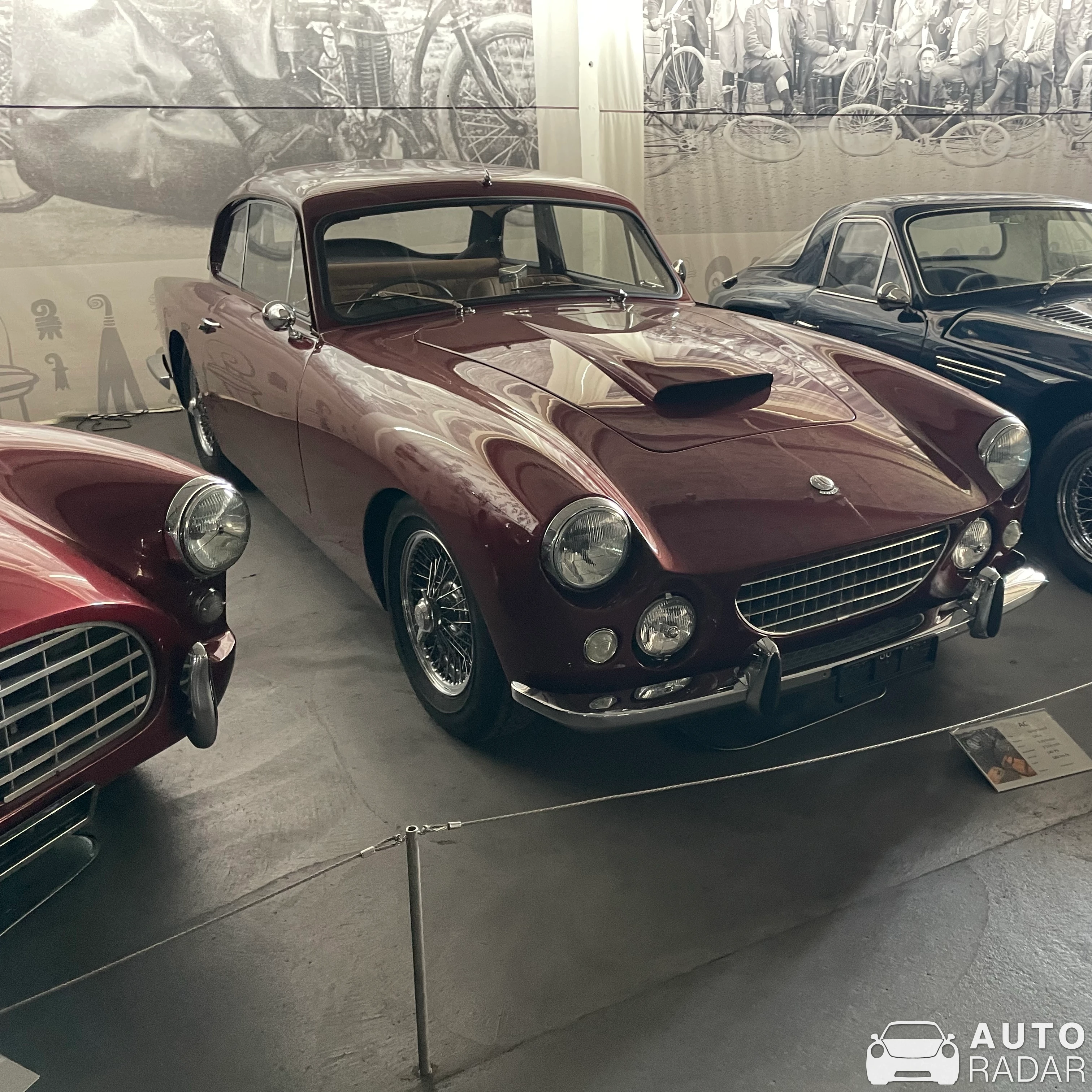 AC Greyhound spotted in Rheinfelden