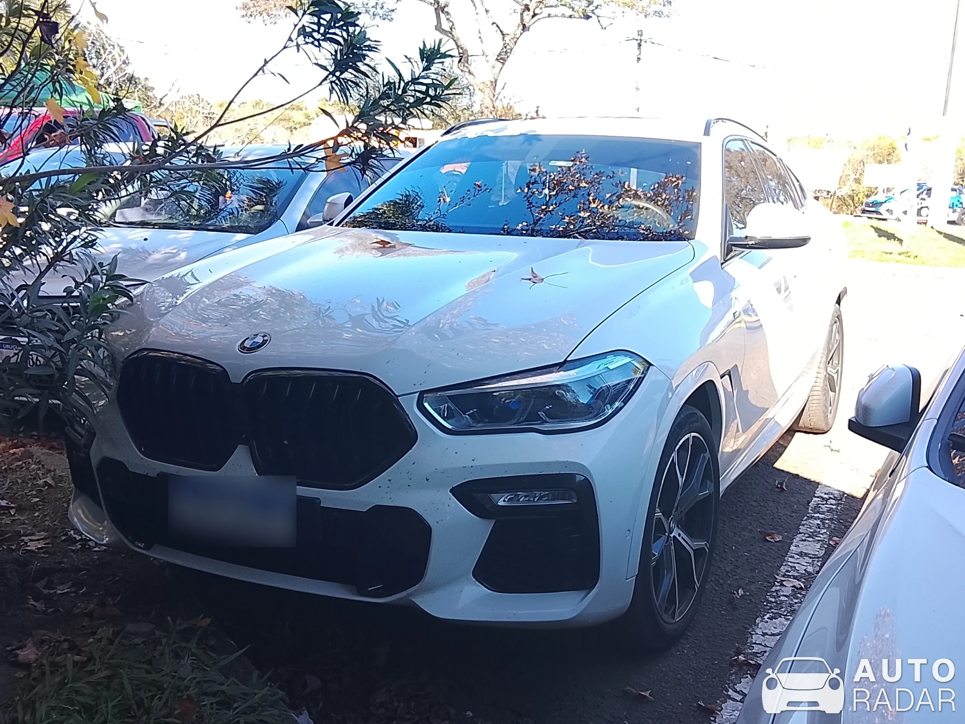 BMW X6 G06 spotted in Salto