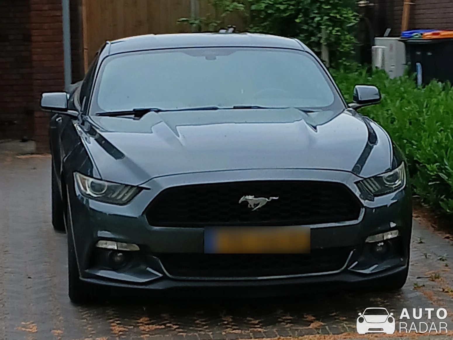 Ford Mustang GT S550 spotted in Lichtenvoorde