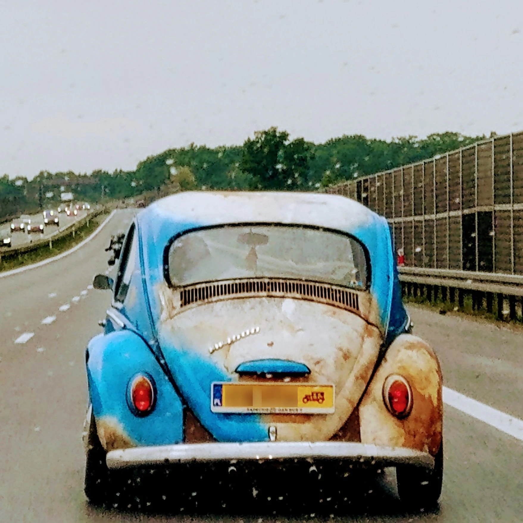  Volkswagen, Beetle, Classic. 2 spotted in , Polska