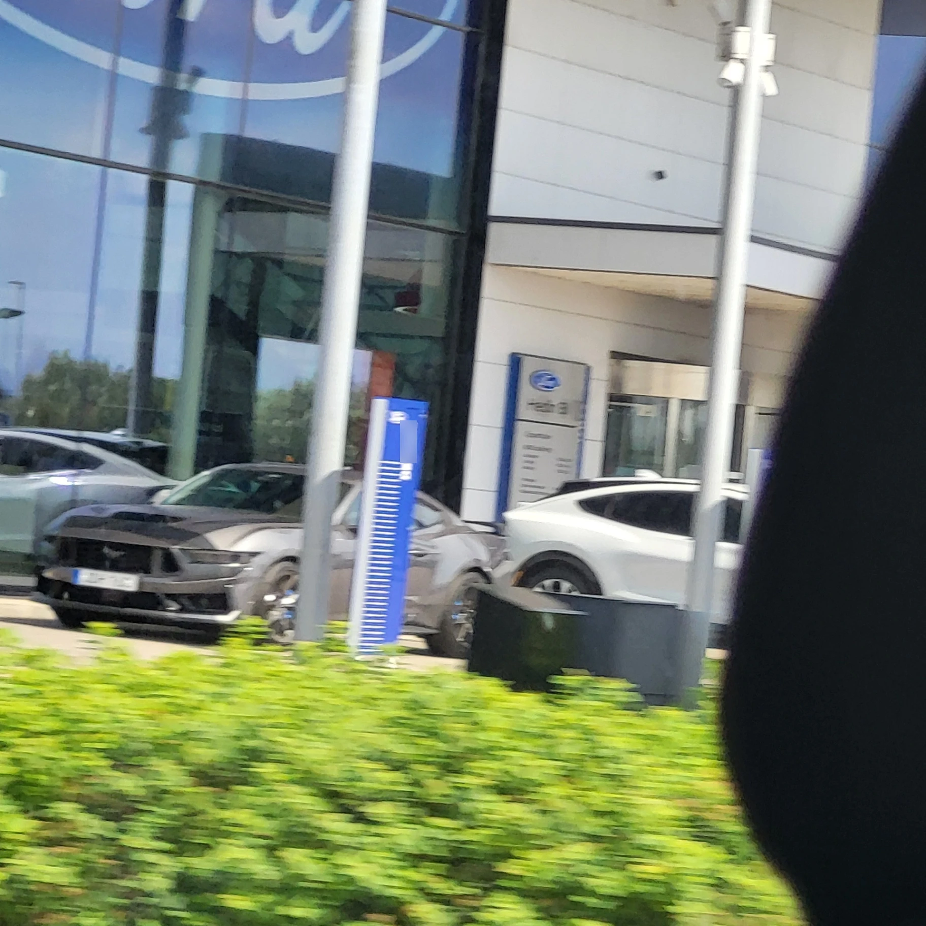 Ford Mustang GT 2024 spotted in Hallands län, Sweden