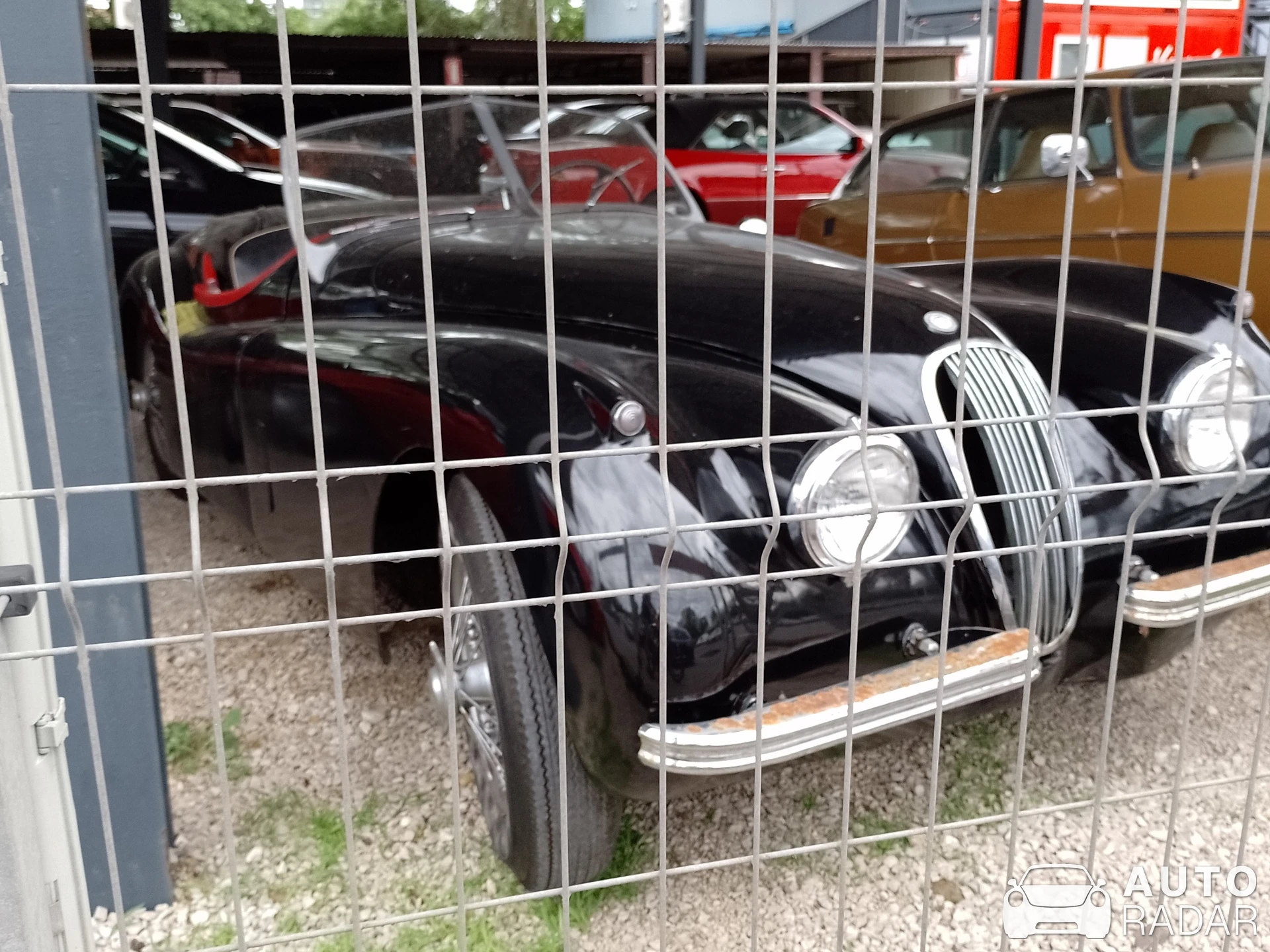 Jaguar XK120 Roadster spotted in Budapest