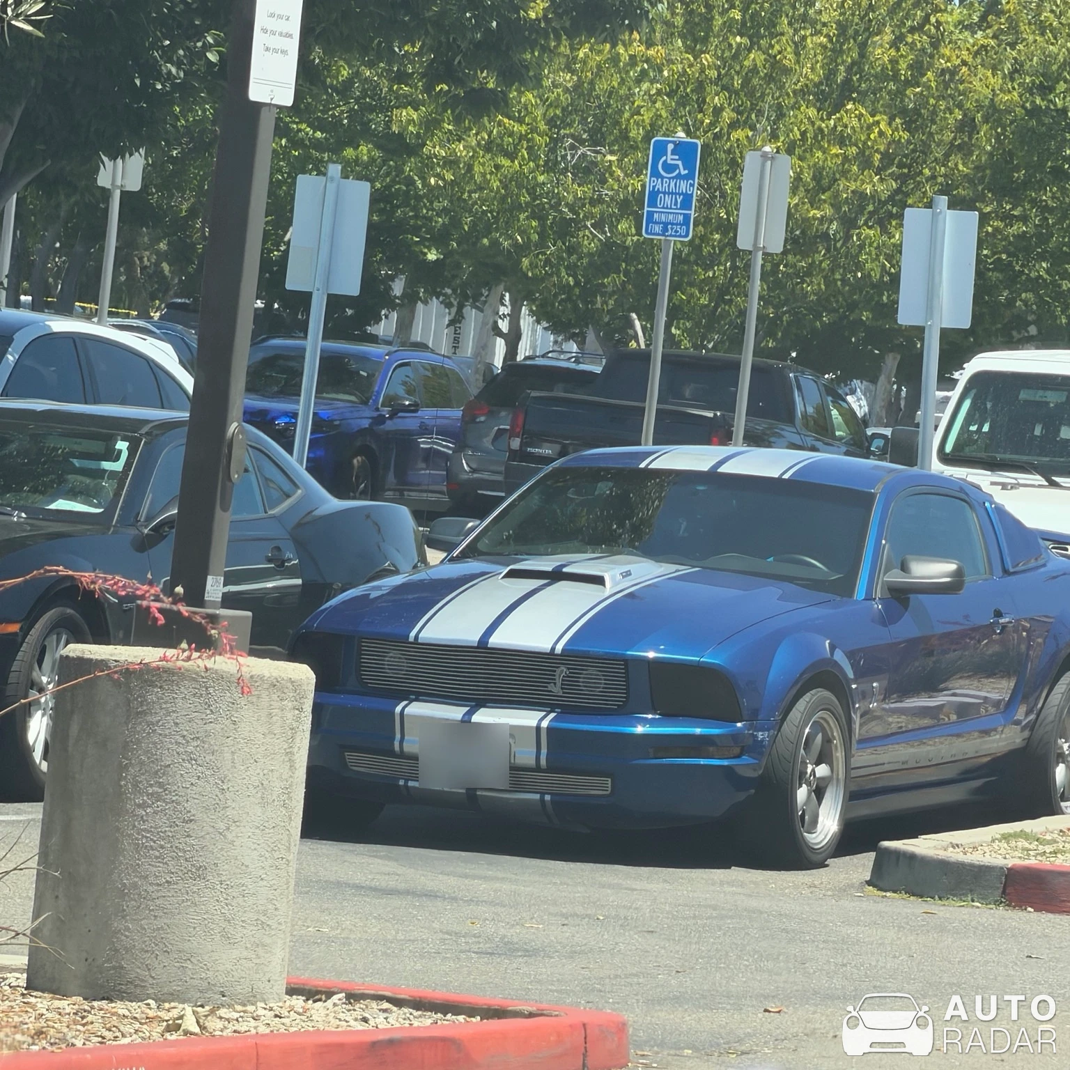 Ford Mustang Shelby GT500 spotted in Livermore