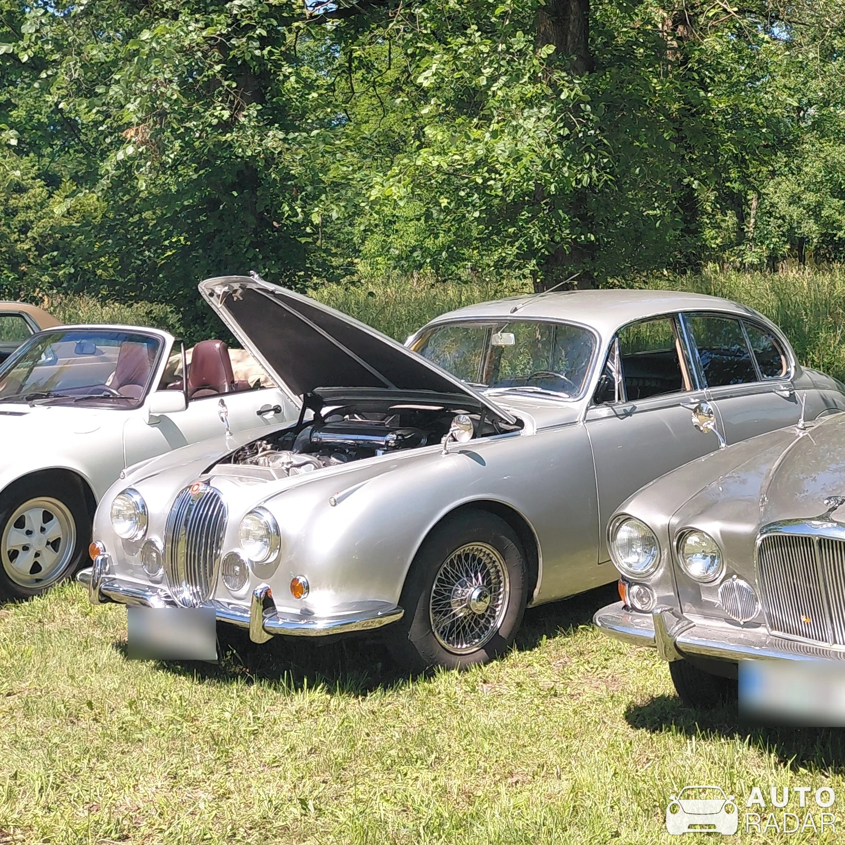 Jaguar Mark II spotted in Duplek