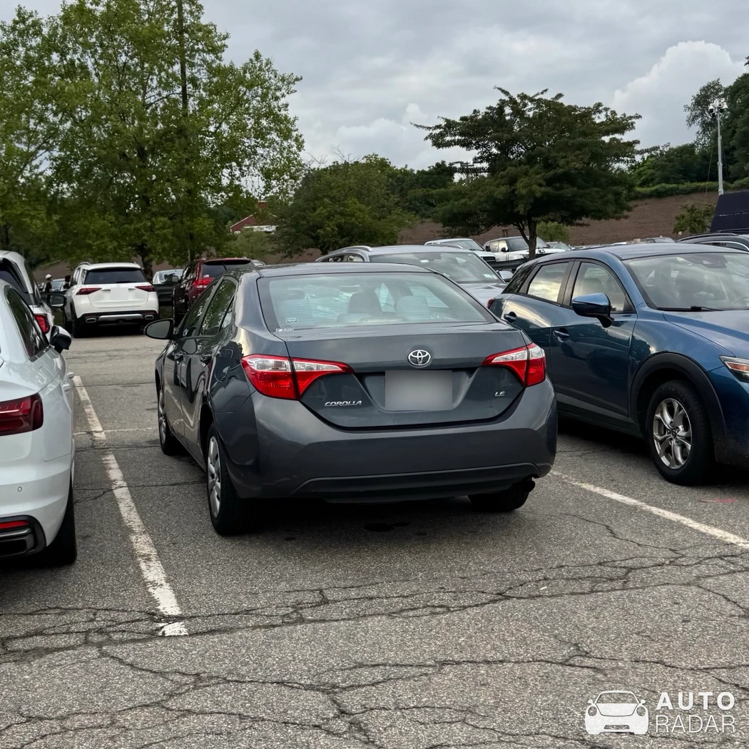 Toyota Corolla spotted in Woodbury
