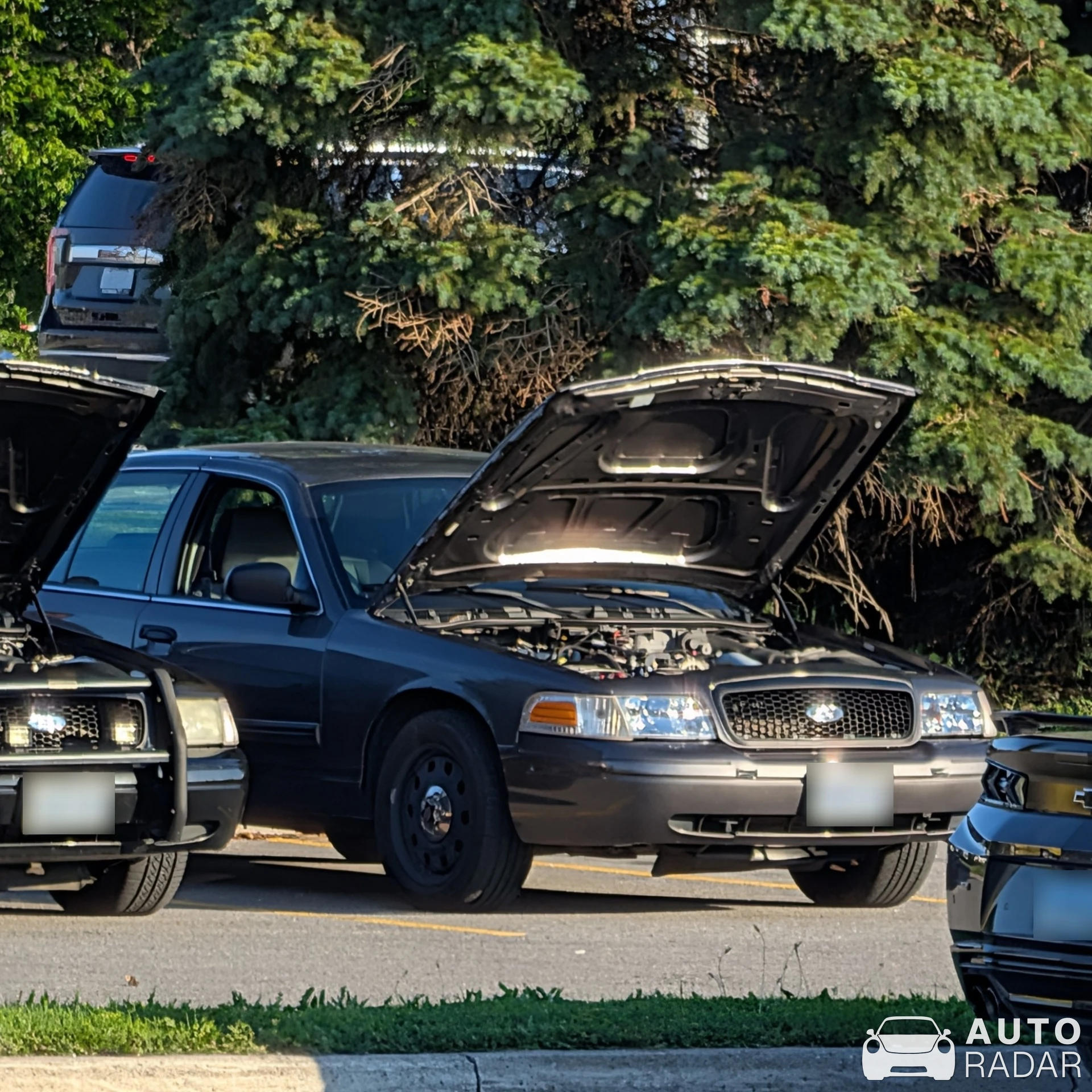 Ford Crown Victoria Police Interceptor spotted in Carleton Place