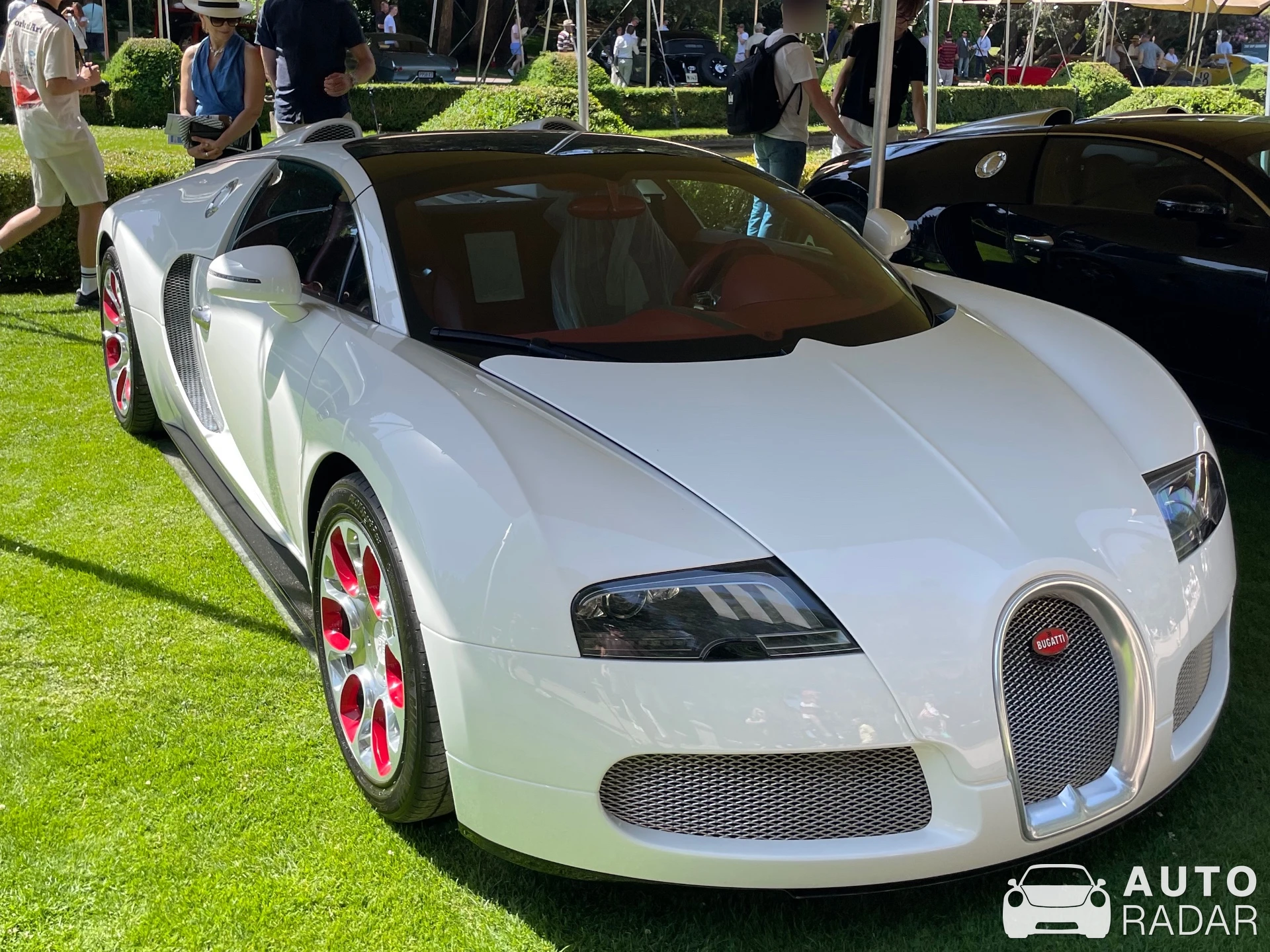 Bugatti Veyron 16.4 Grand Sport Wei Long 2012 spotted in Allerum