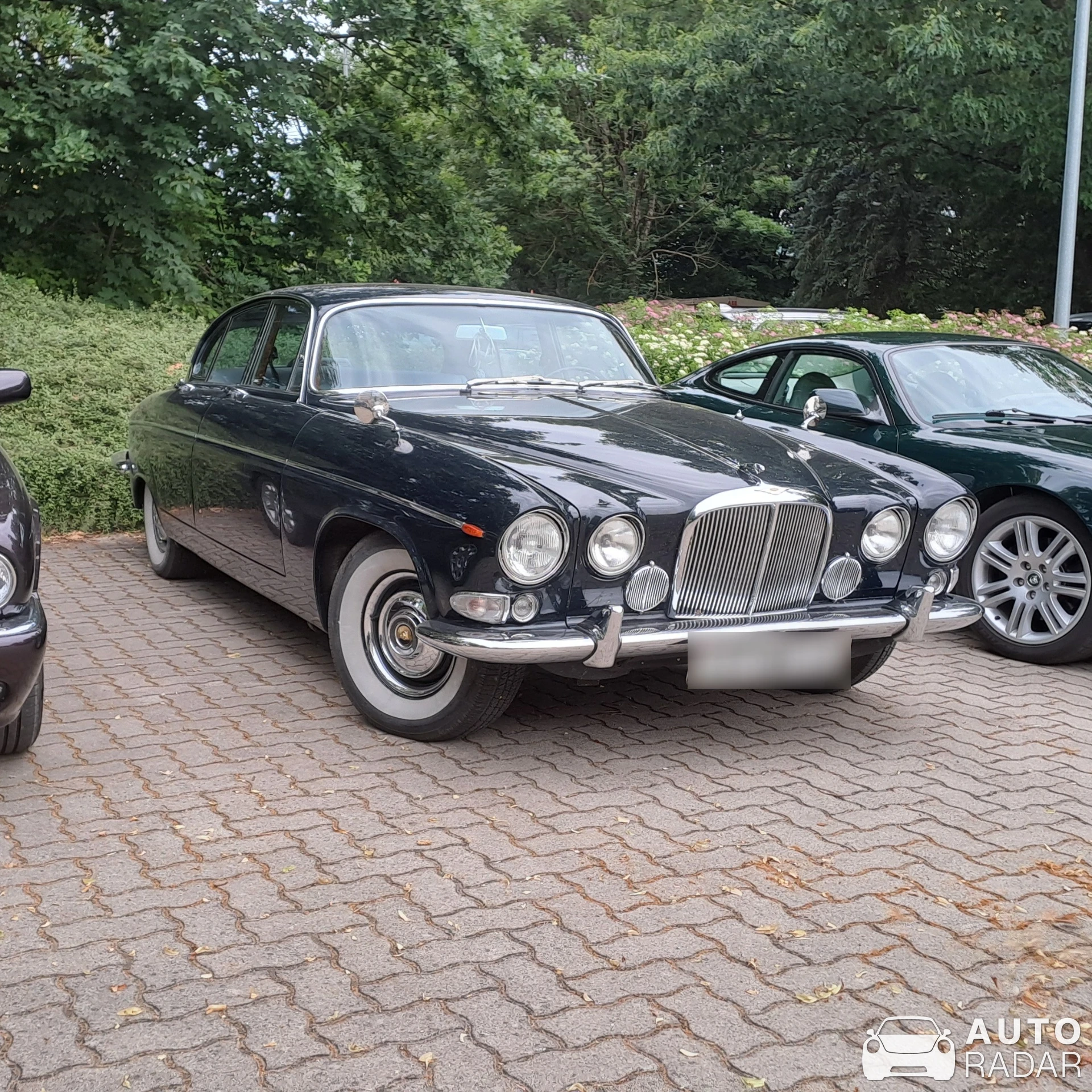 Jaguar 420 spotted in Szentgotthárd