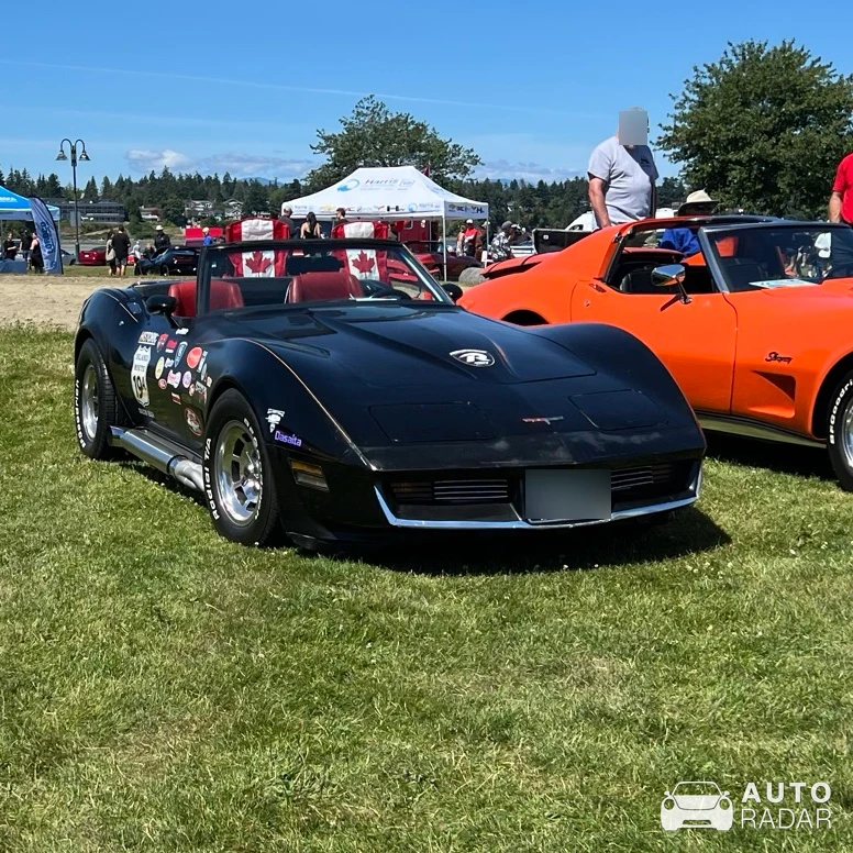 Chevrolet Corvette C3 spotted in Errington