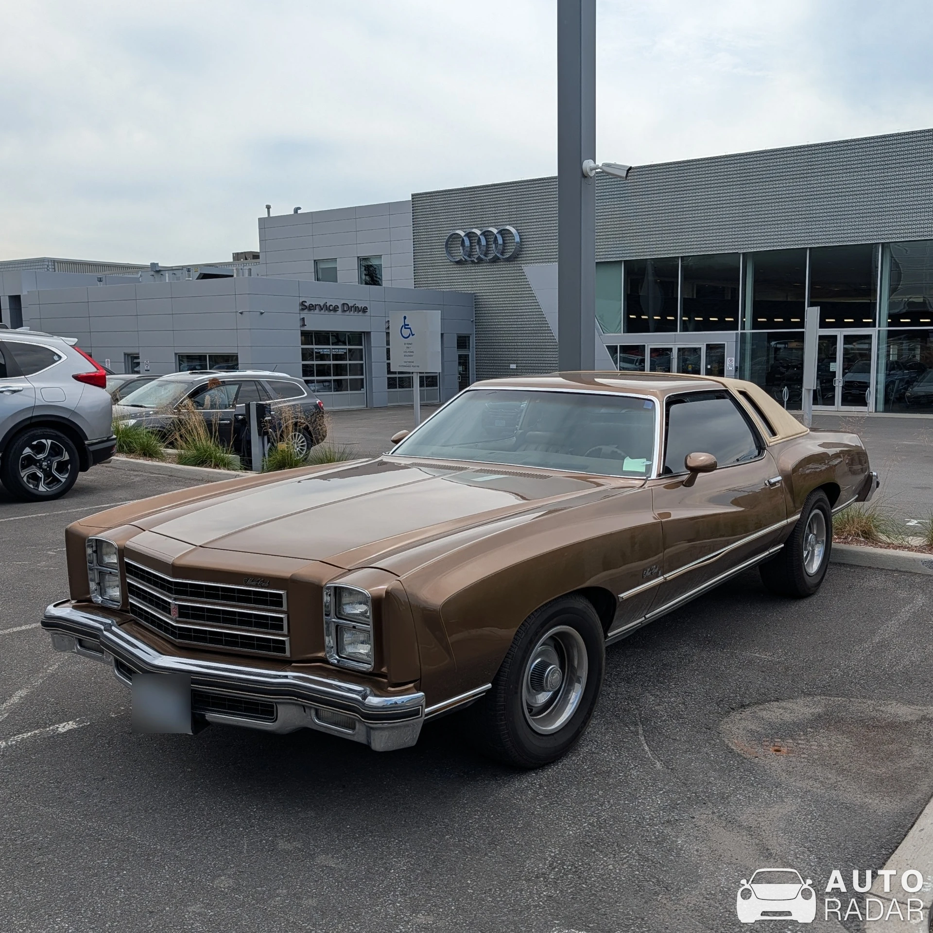 Chevrolet Monte Carlo spotted in Ottawa
