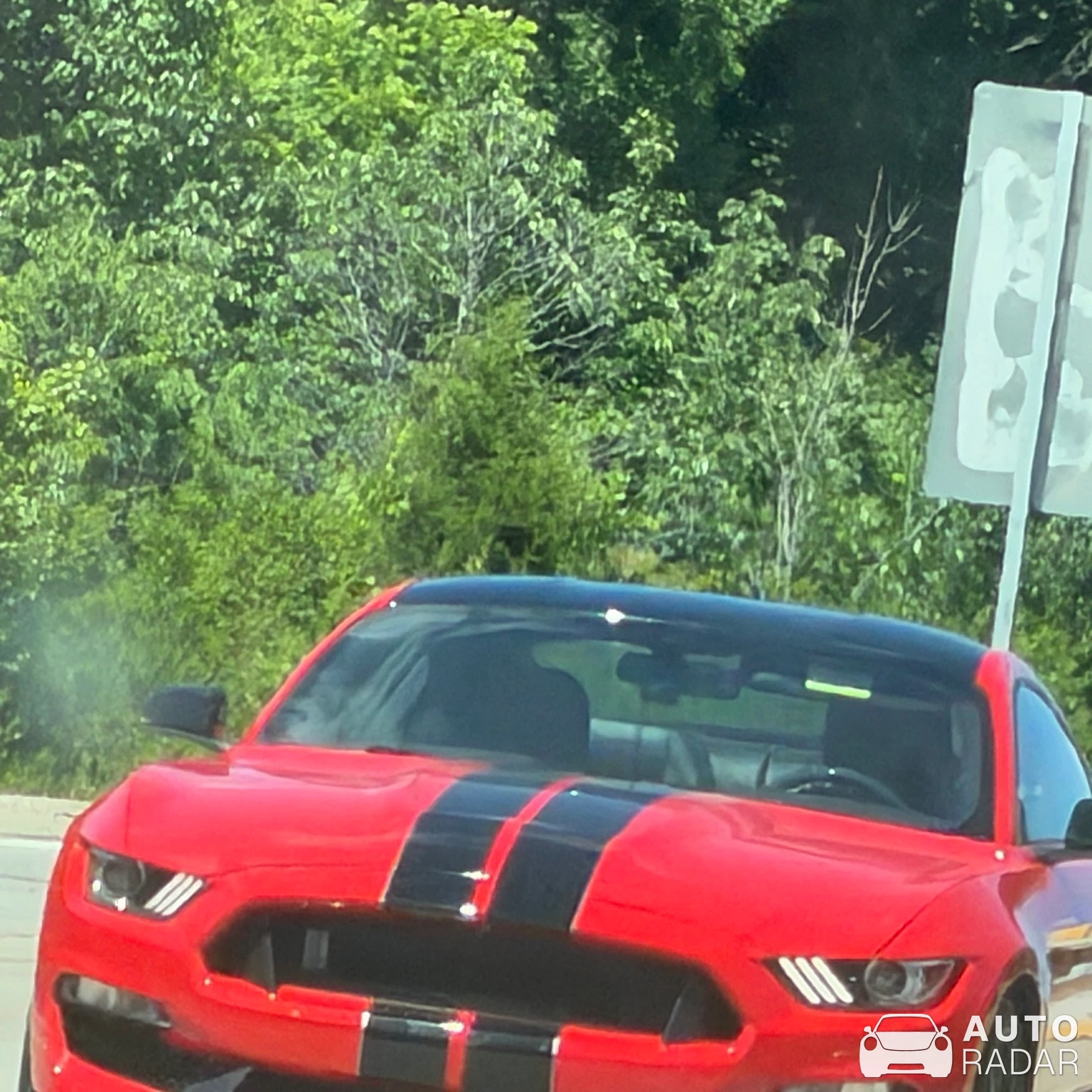 Ford Mustang Shelby G.T. 500 spotted in Eureka