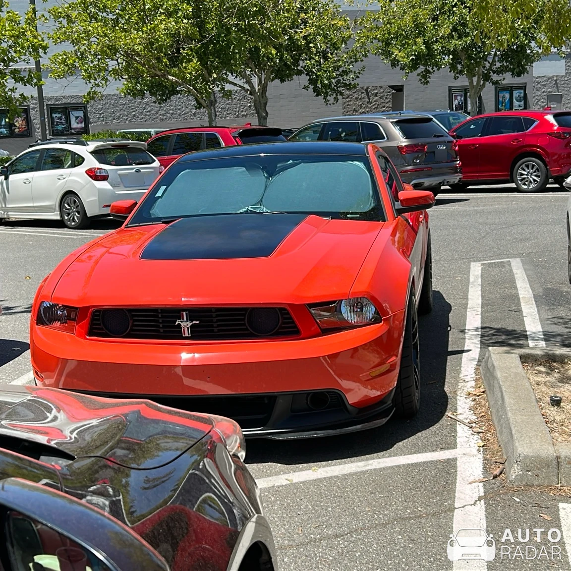 Ford Mustang Boss 302 2010 spotted in Chico