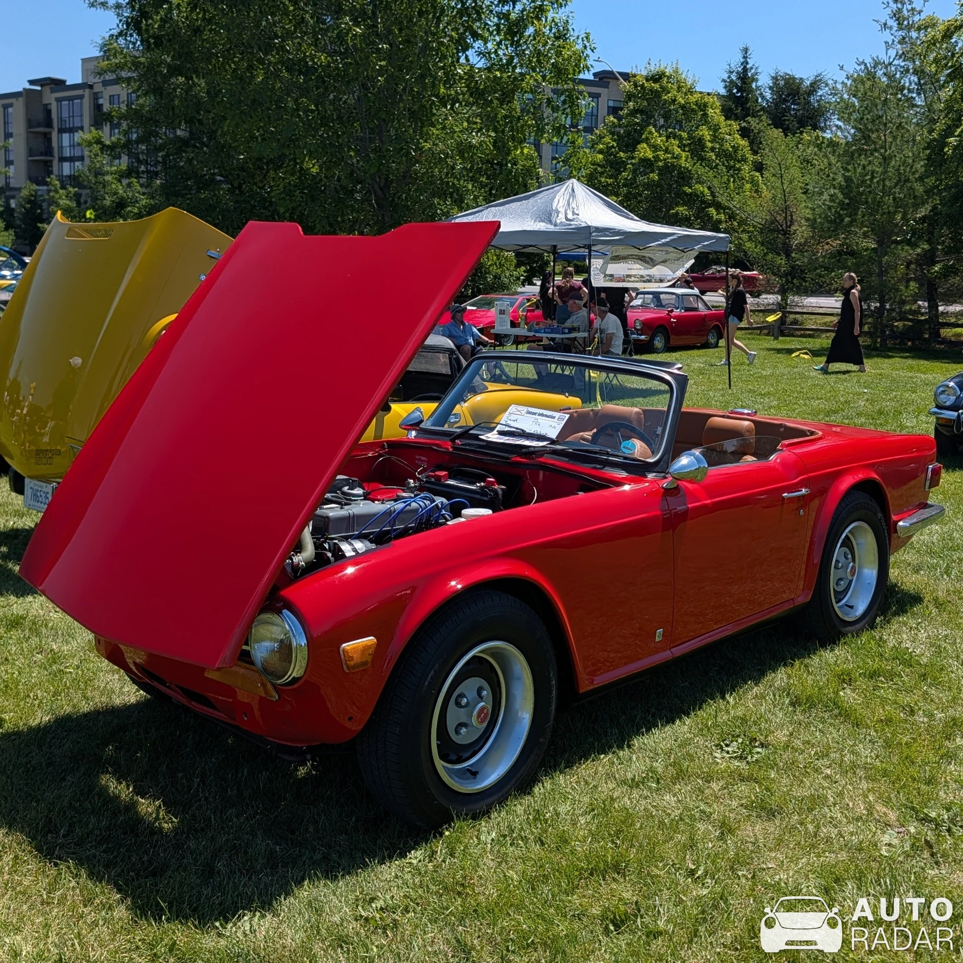 Triumph TR6 spotted in Nepean