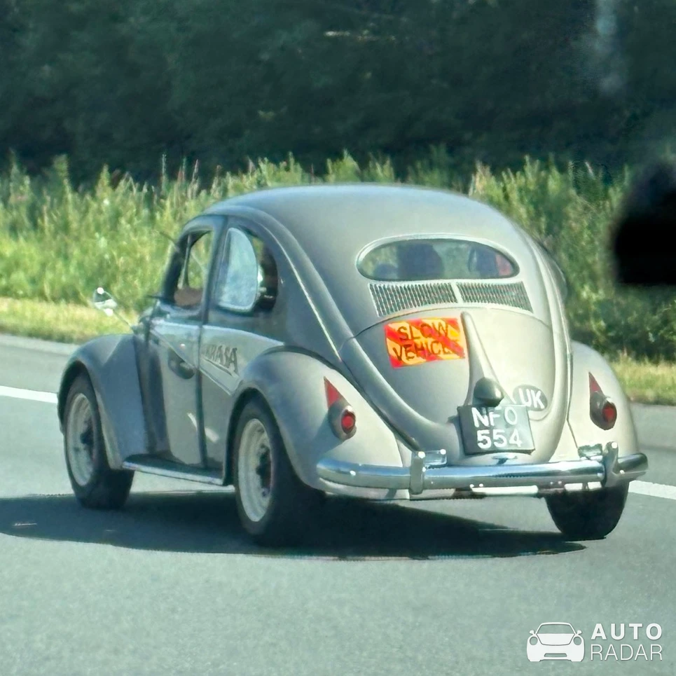 Volkswagen Beetle spotted in Aalter