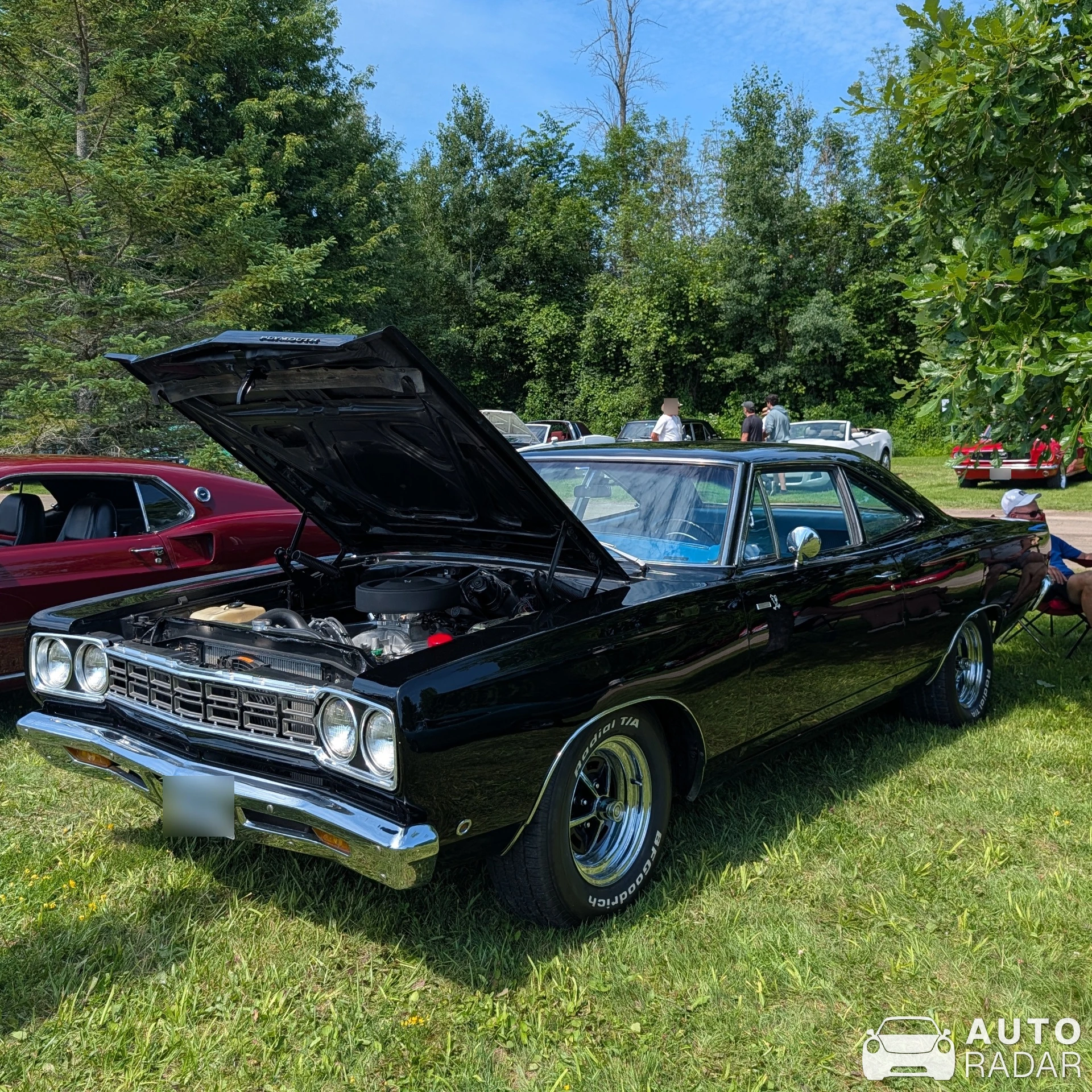 Plymouth Road Runner spotted in Merrickville