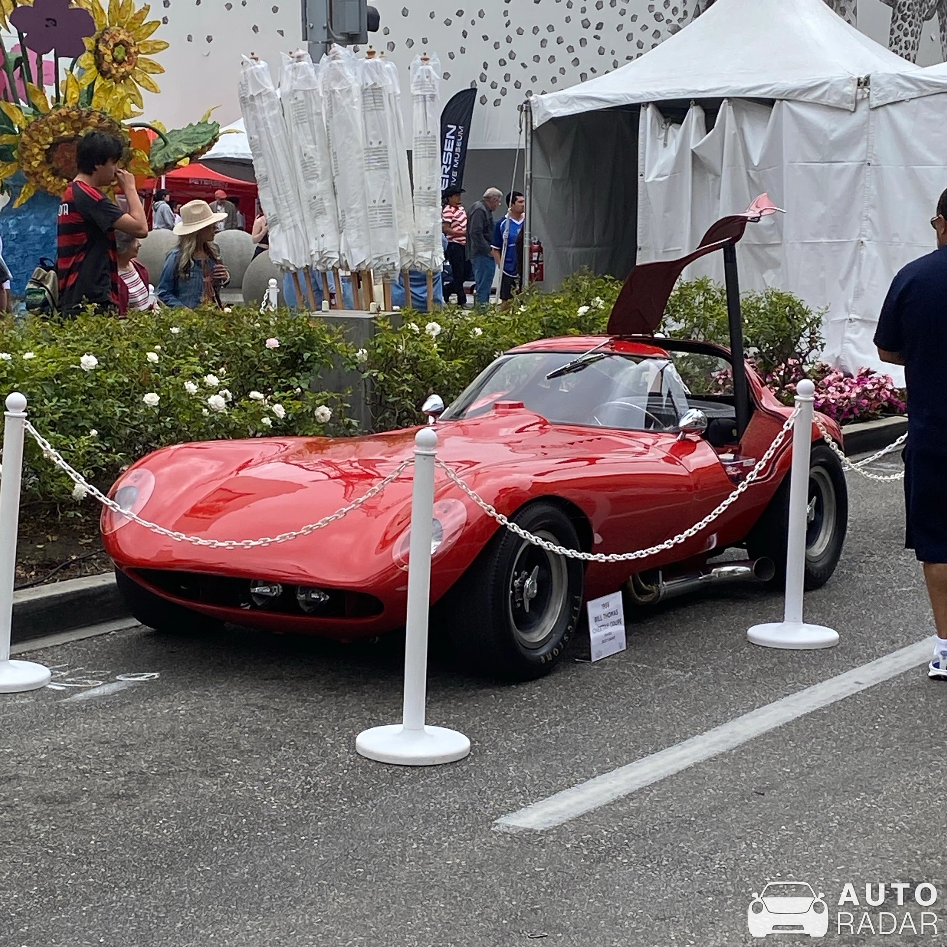 Bill Thomas Cheetah spotted in Beverly Hills