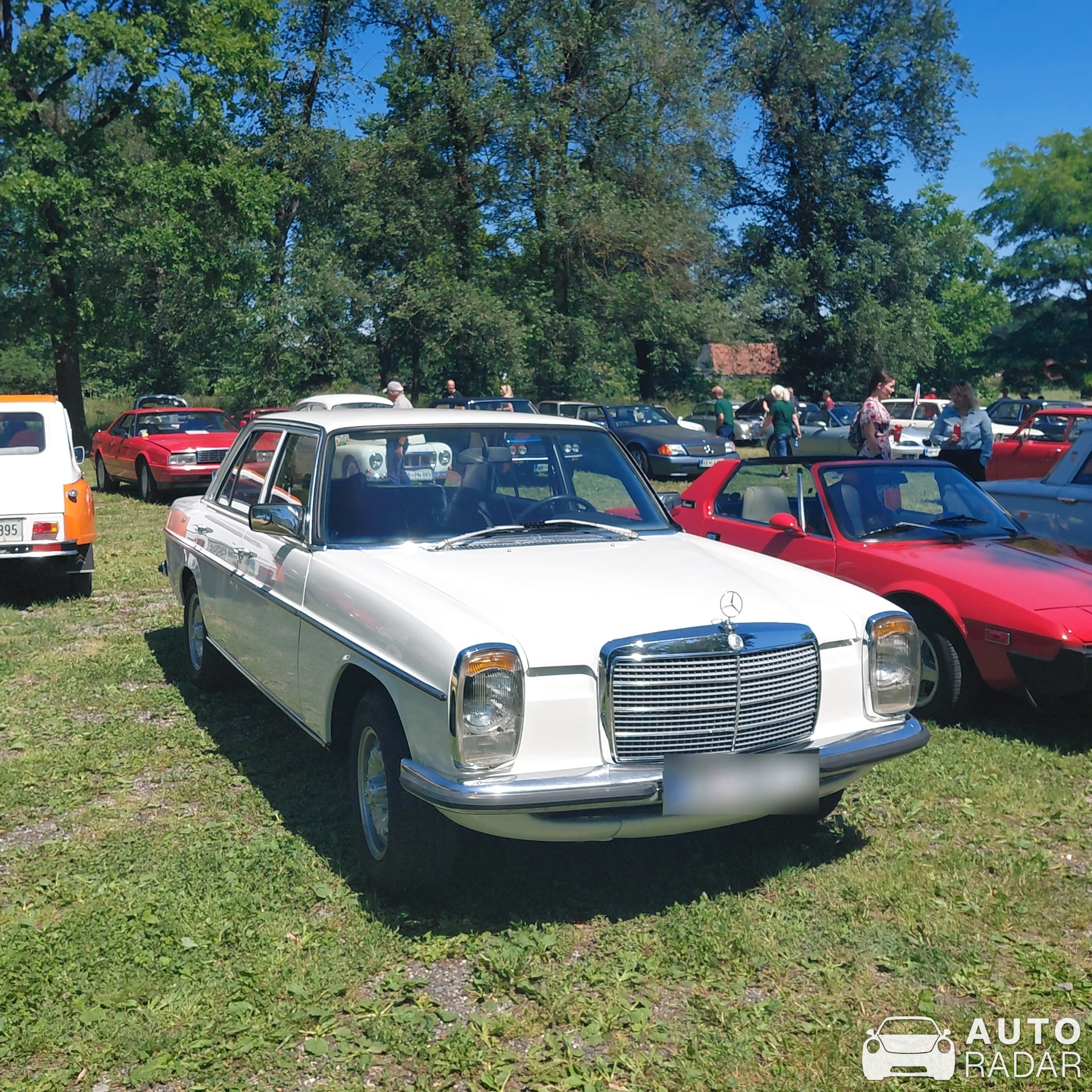 Mercedes-Benz W114 spotted in Duplek