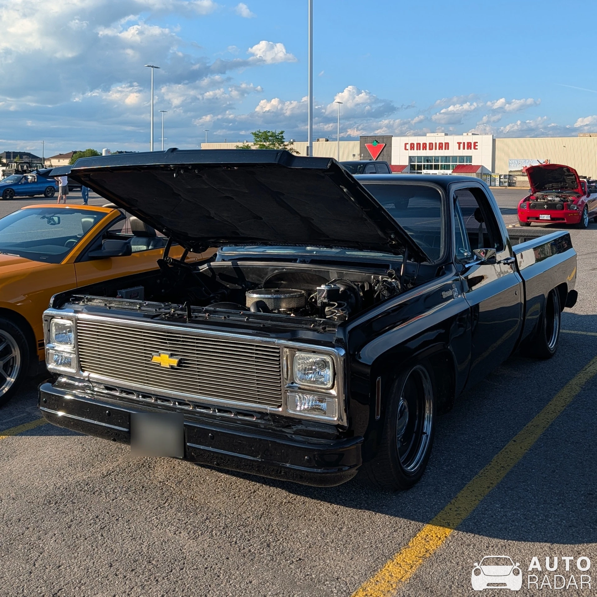 Chevrolet C10 spotted in Carleton Place