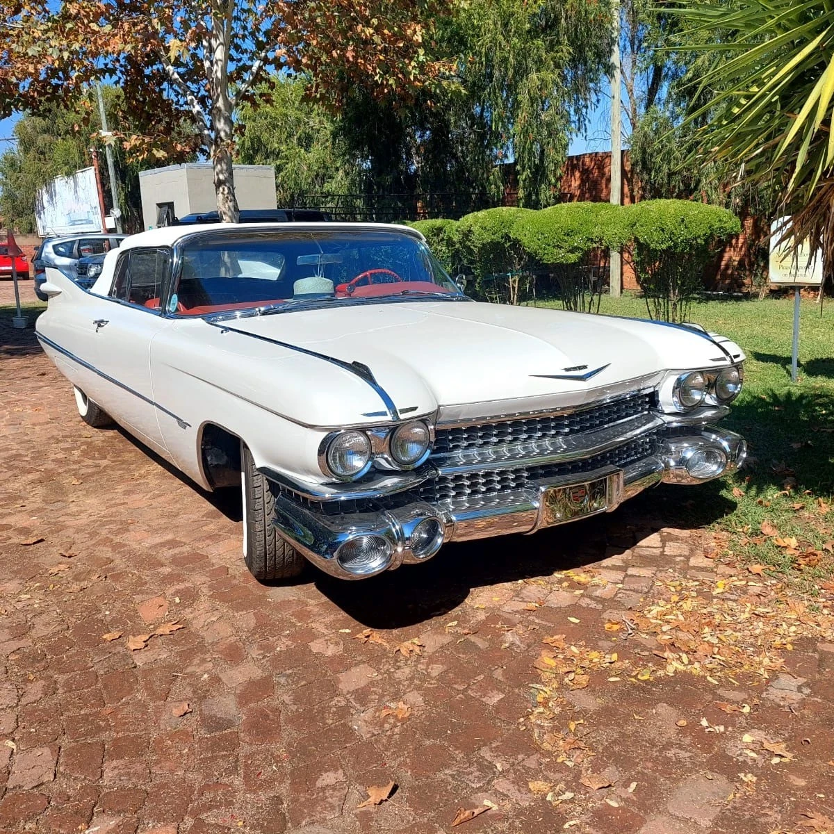 Cadillac Series 62 spotted in Hartbeespoort, South Africa