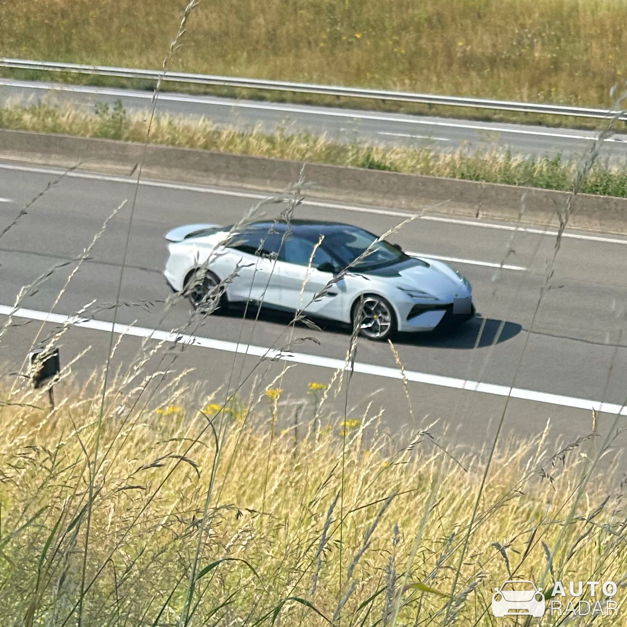 Lotus Emeya spotted in Oud-Heverlee
