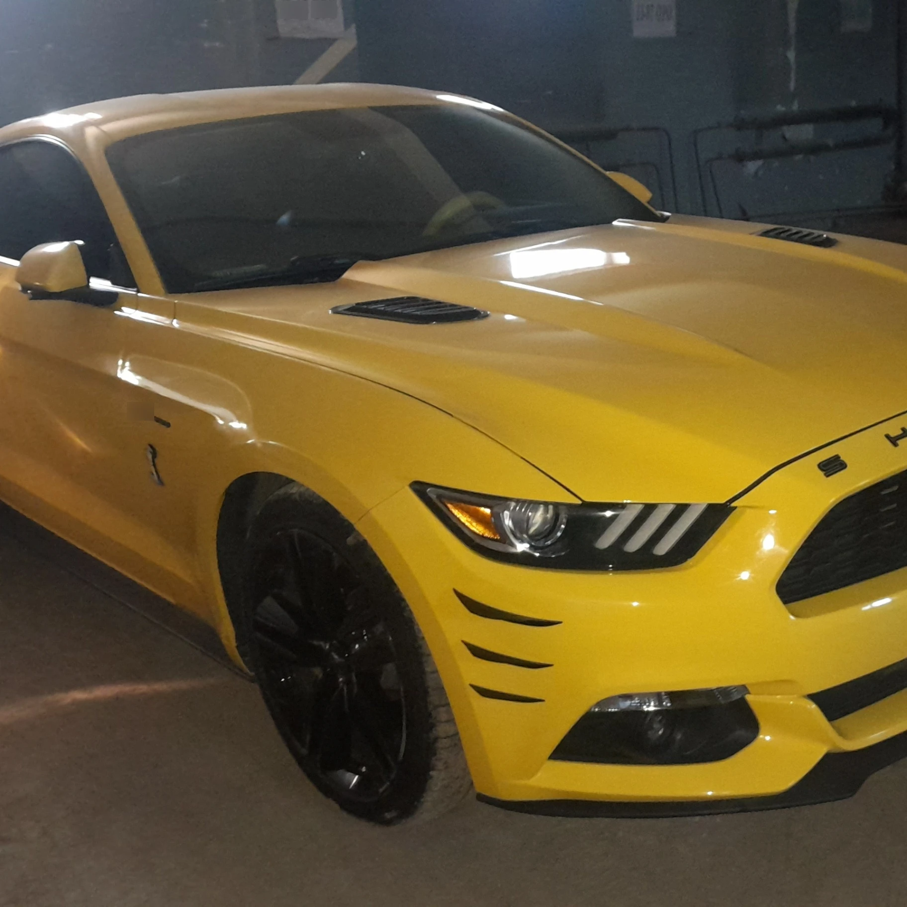 Ford Mustang GT 2015 spotted in Erdenet, Mongolia