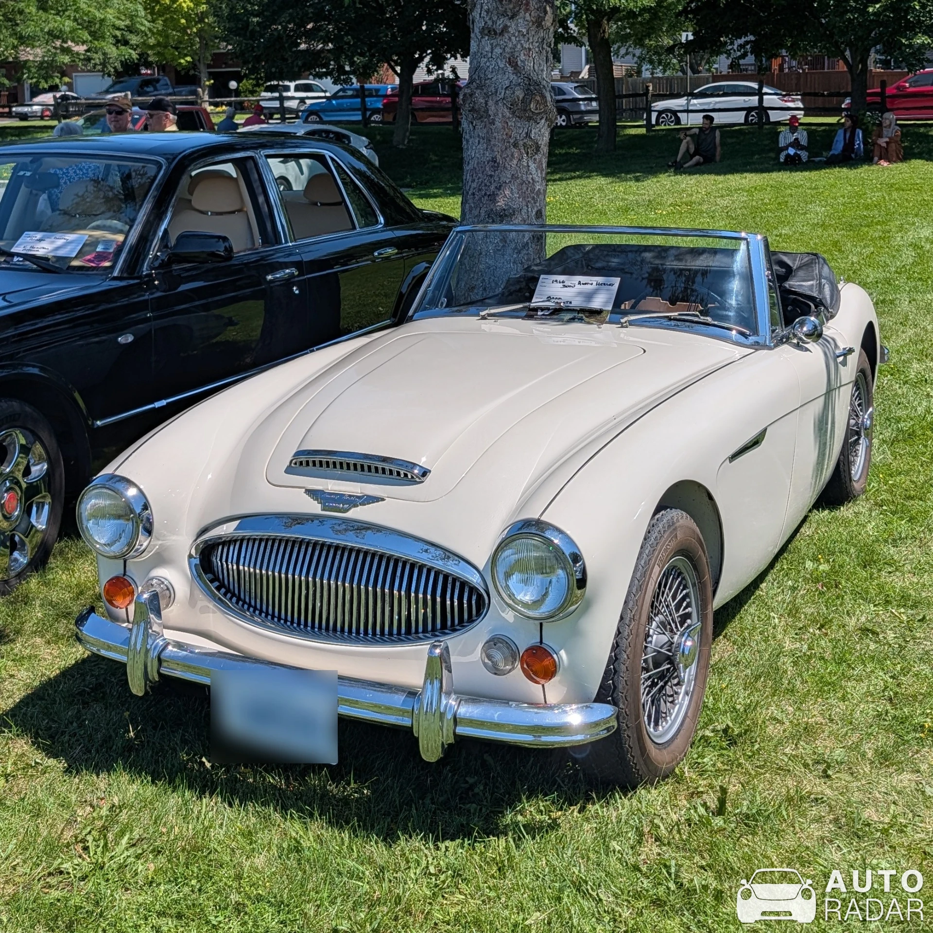 Austin-Healey 3000 MkIII spotted in Nepean