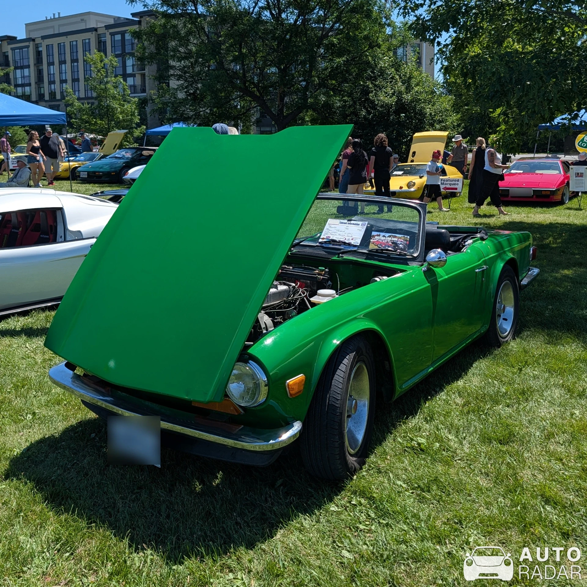 Triumph TR6 spotted in Nepean